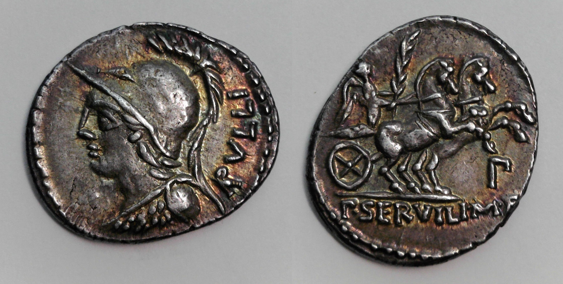 P Servilius.jpg