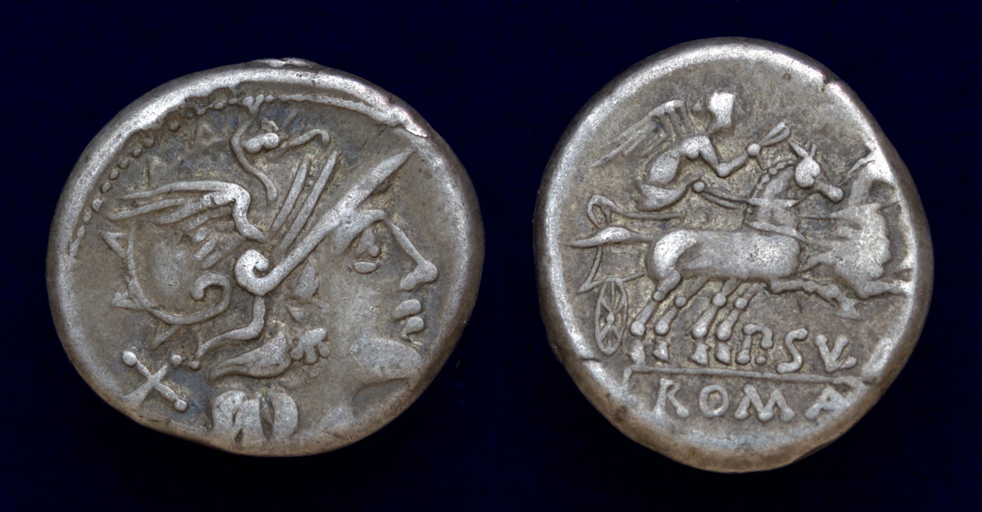 P Sulla denarius.jpg