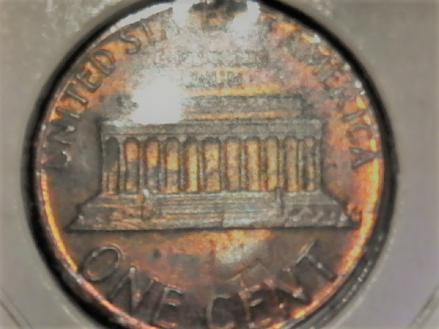 p1.jpg