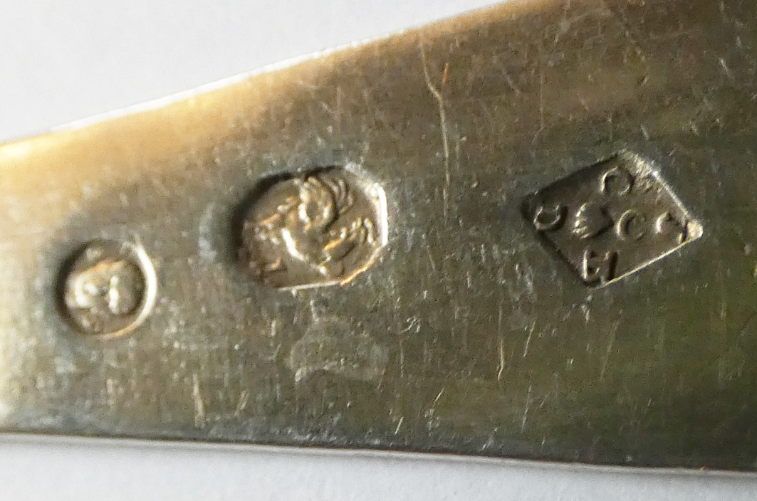 P1000245.JPG