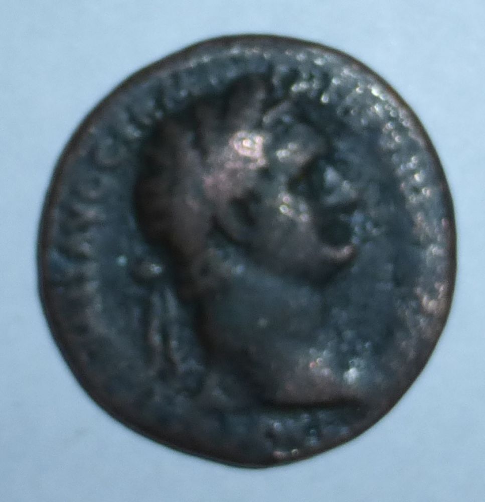 P1000499_opt.jpg