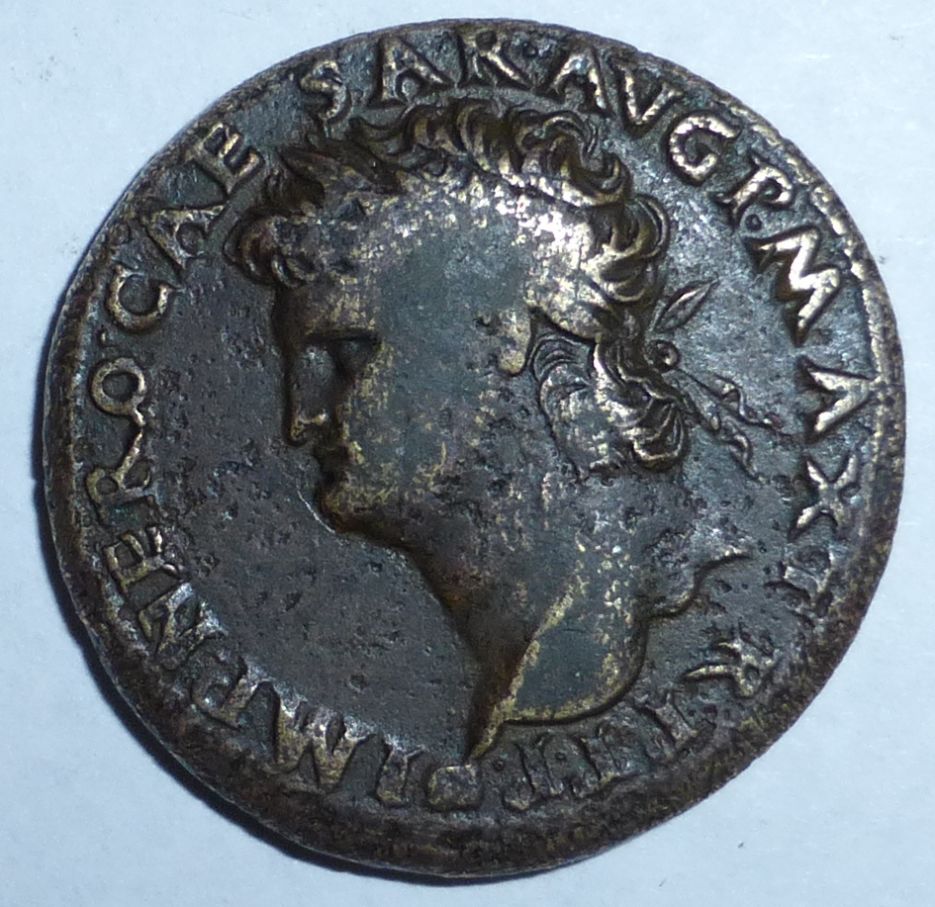 P1000501_opt.jpg