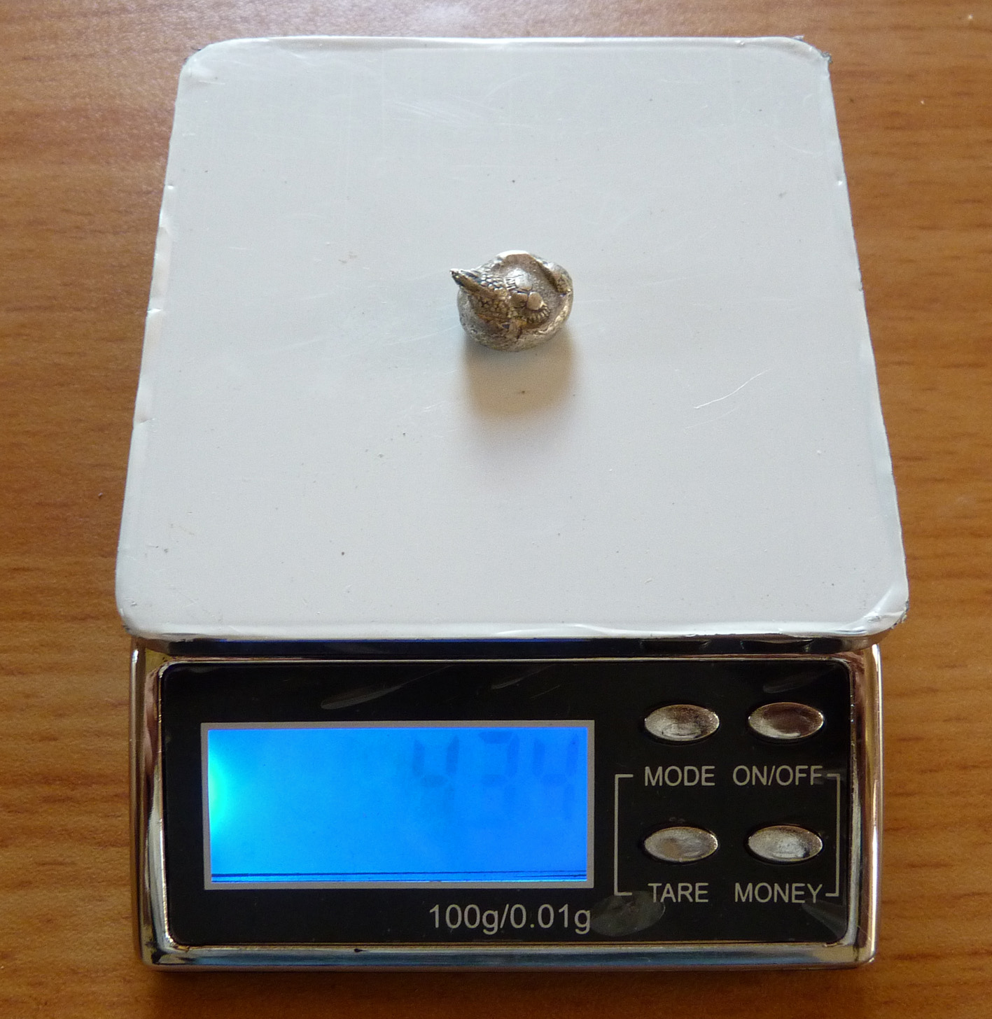 P1000854b.jpg