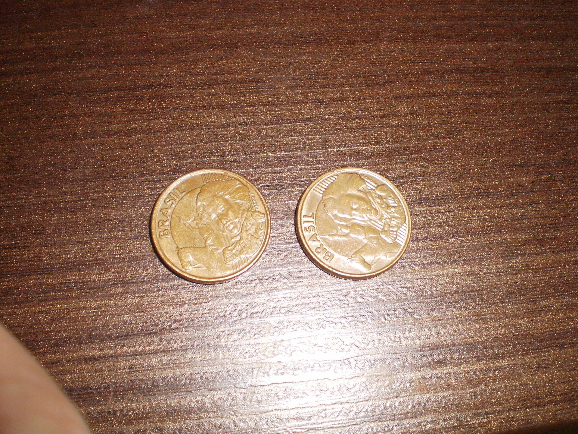 P1010002.JPG