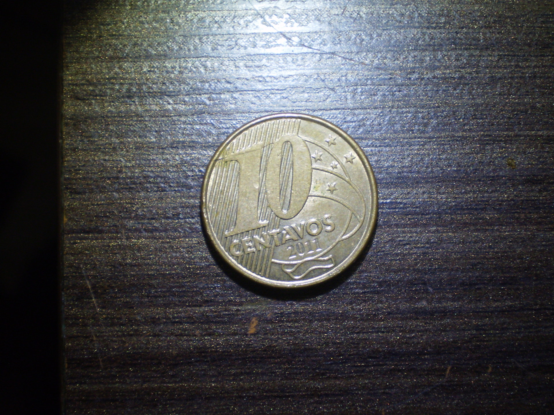 P1010003.JPG