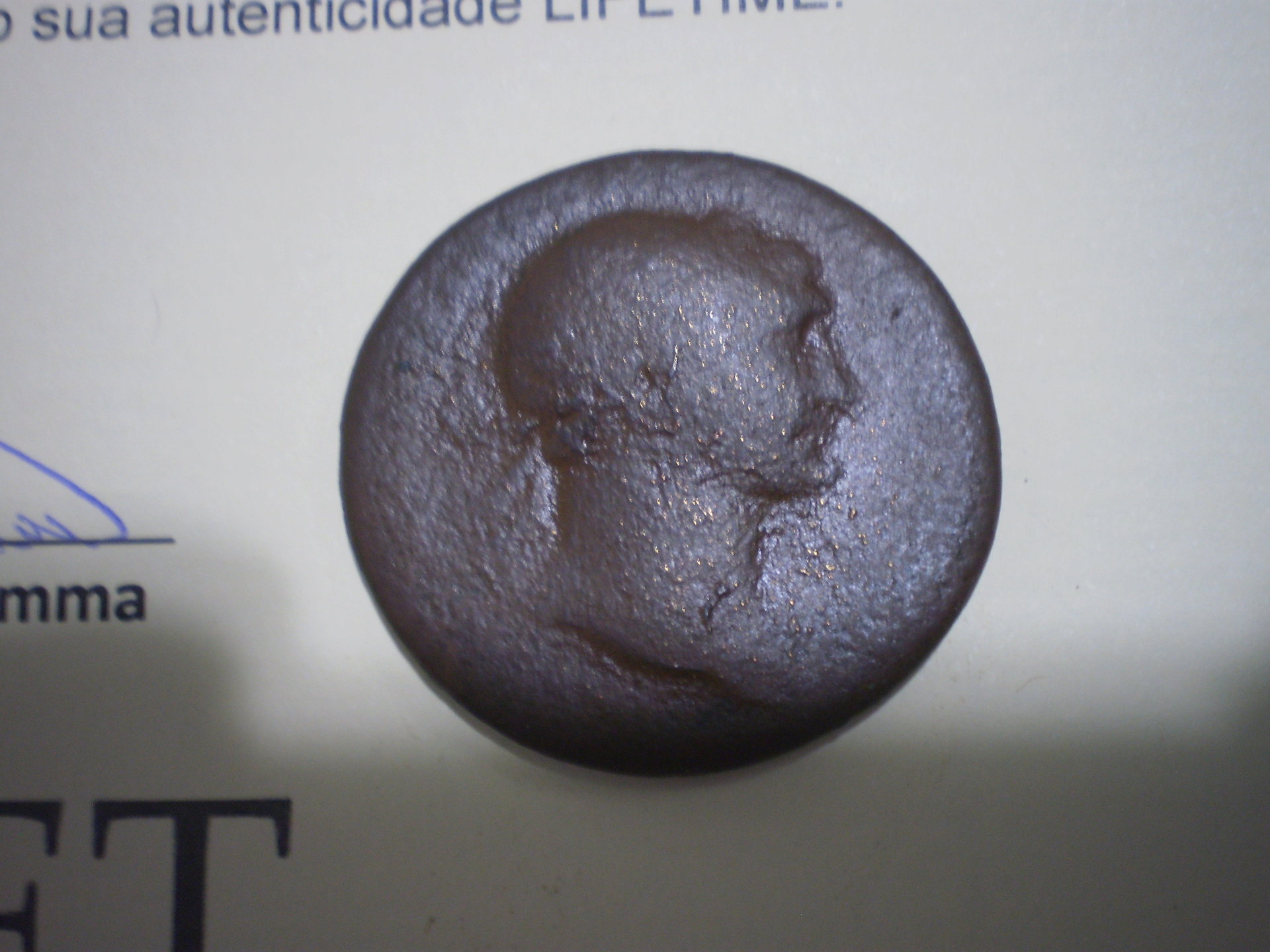 P1010005.JPG