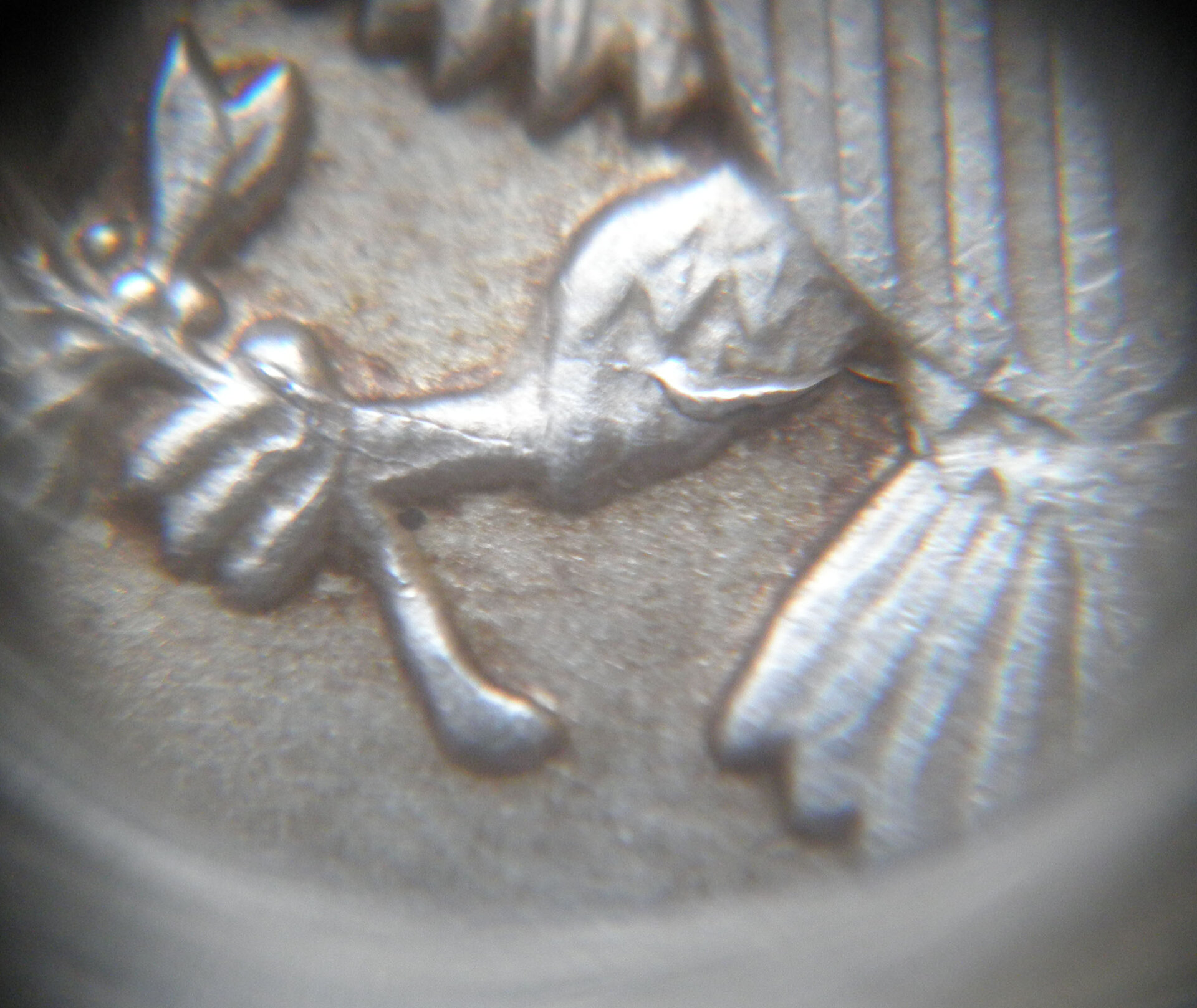 P1010017.JPG