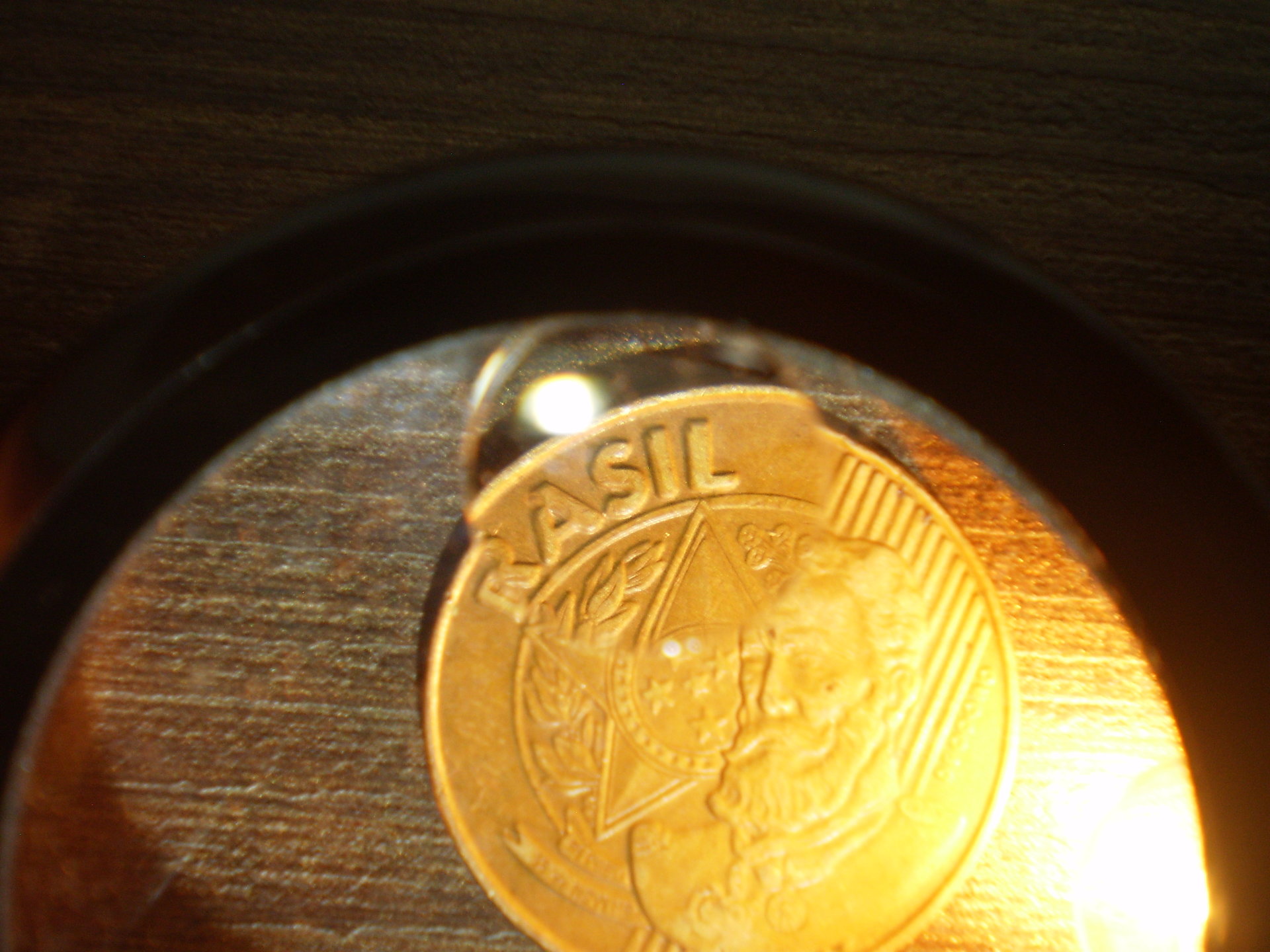 P101003.JPG