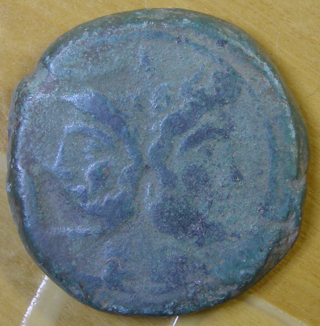 P1010037.JPG