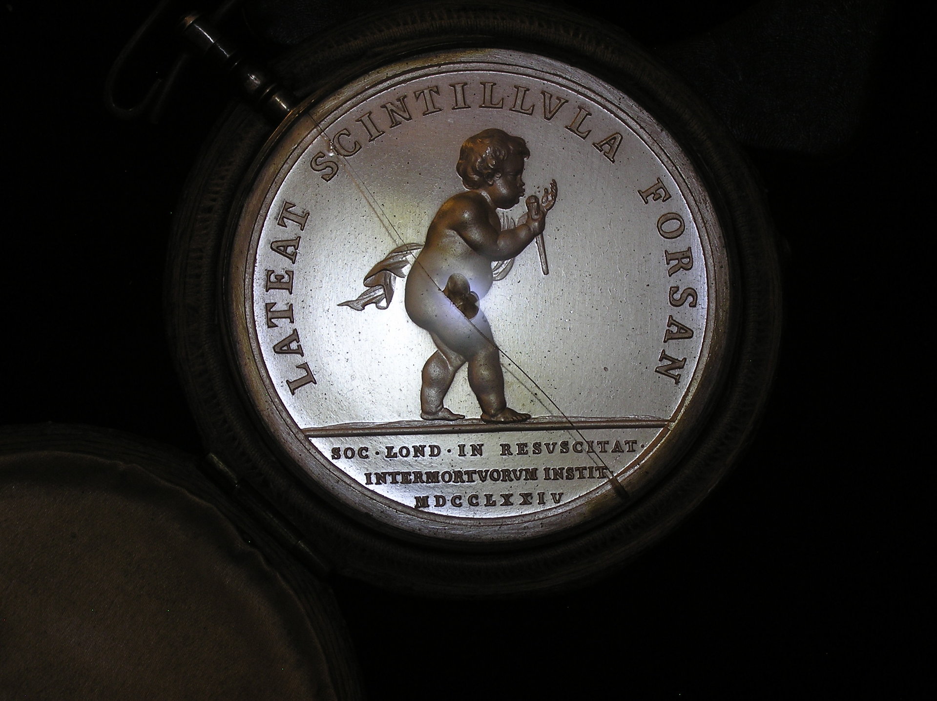 P1010153.JPG