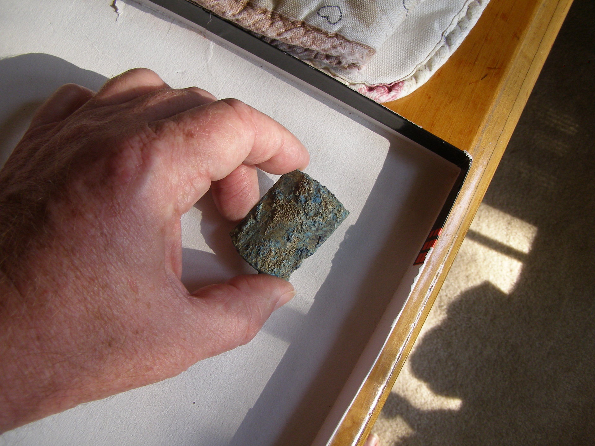 P1011546.JPG