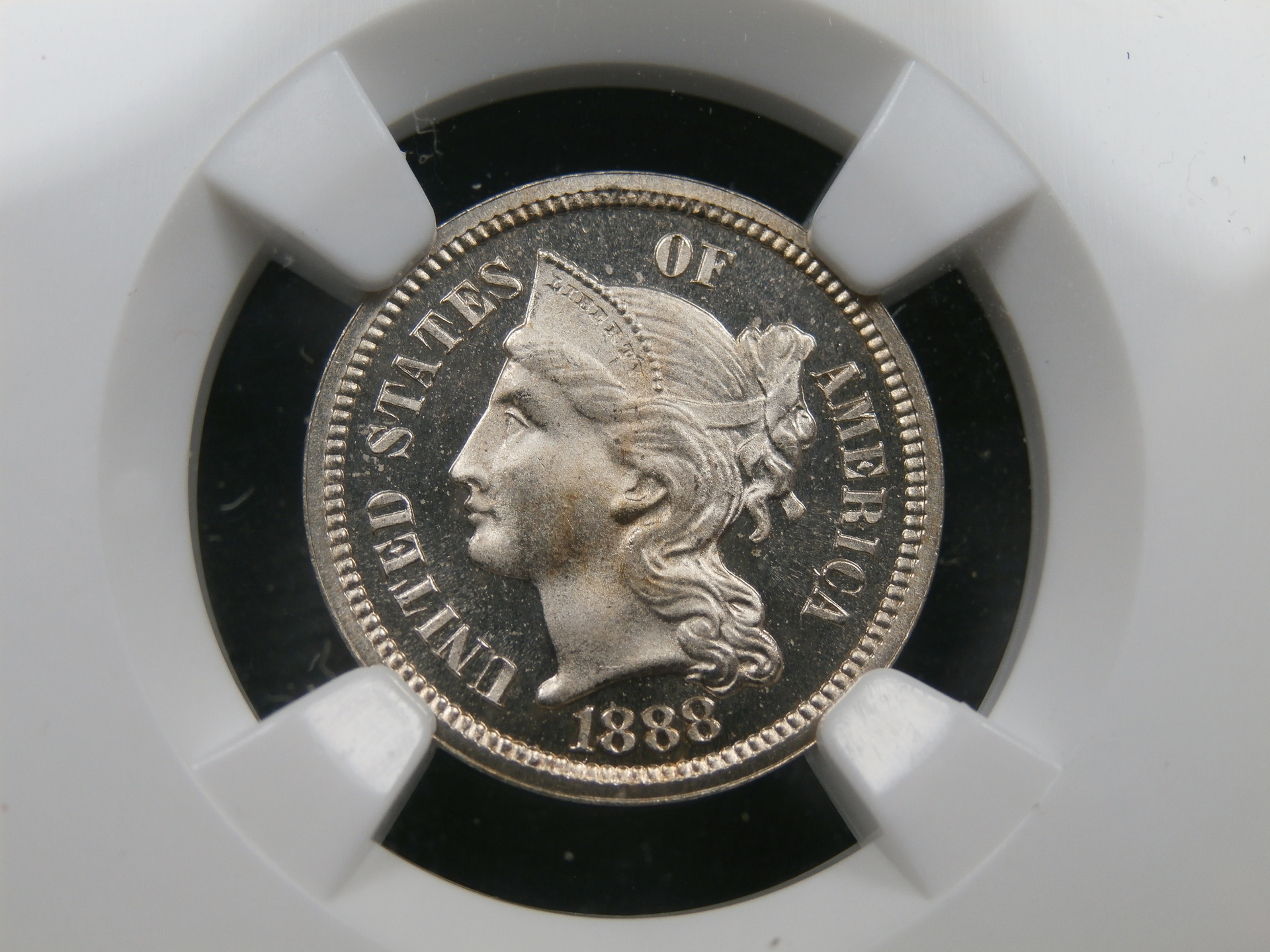 P1011564_1.JPG