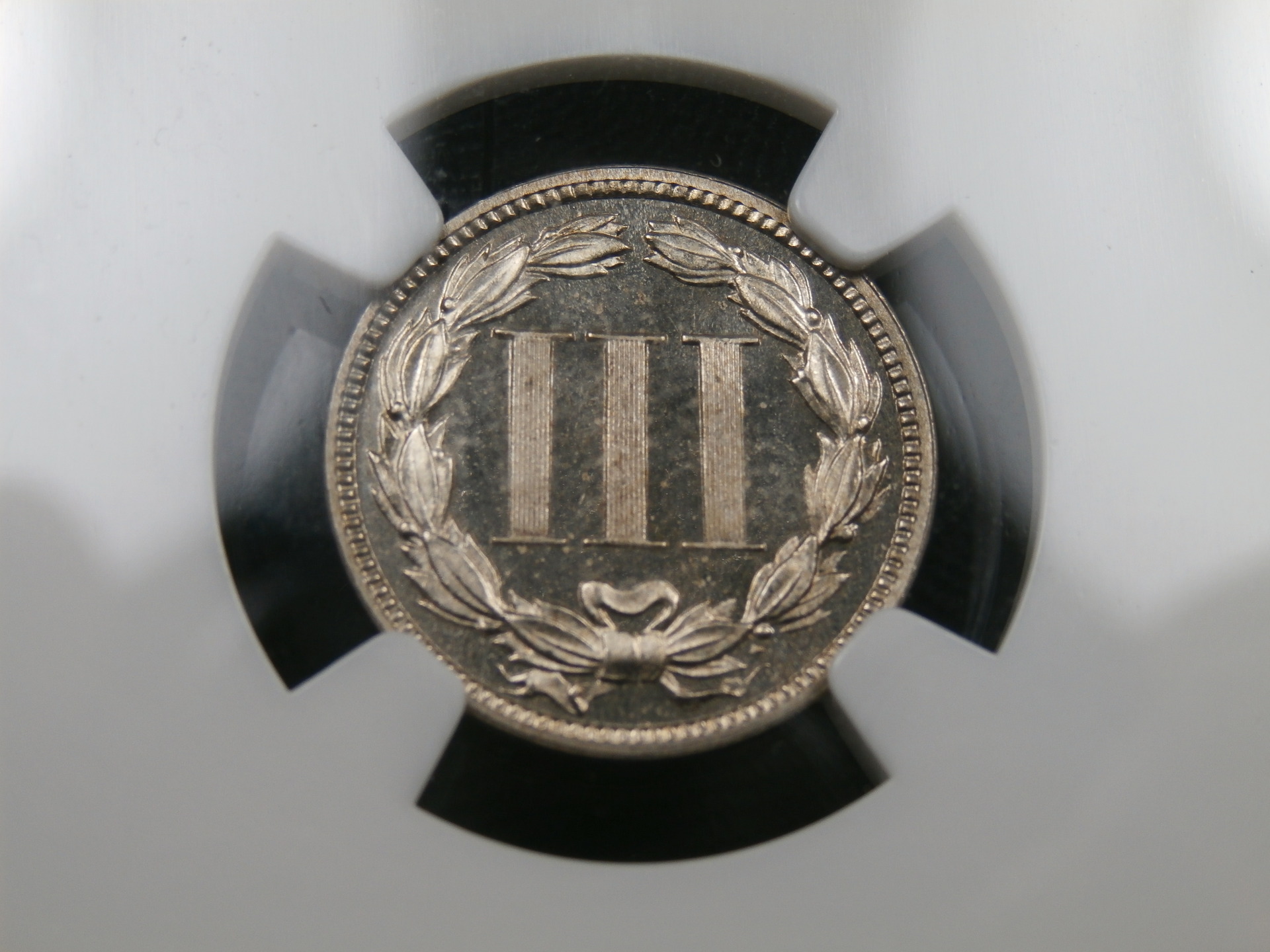 P1011565_1.JPG