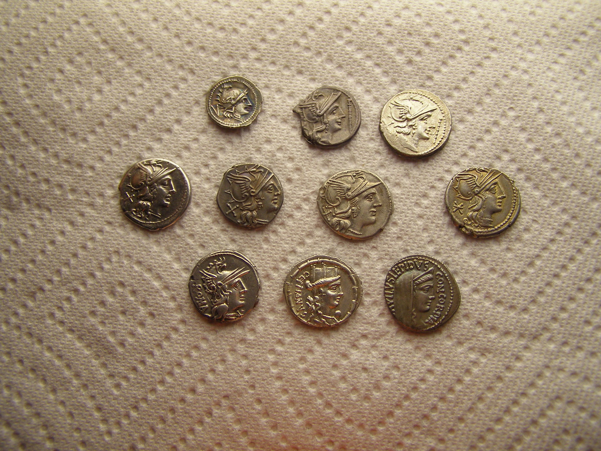 P1011567.JPG