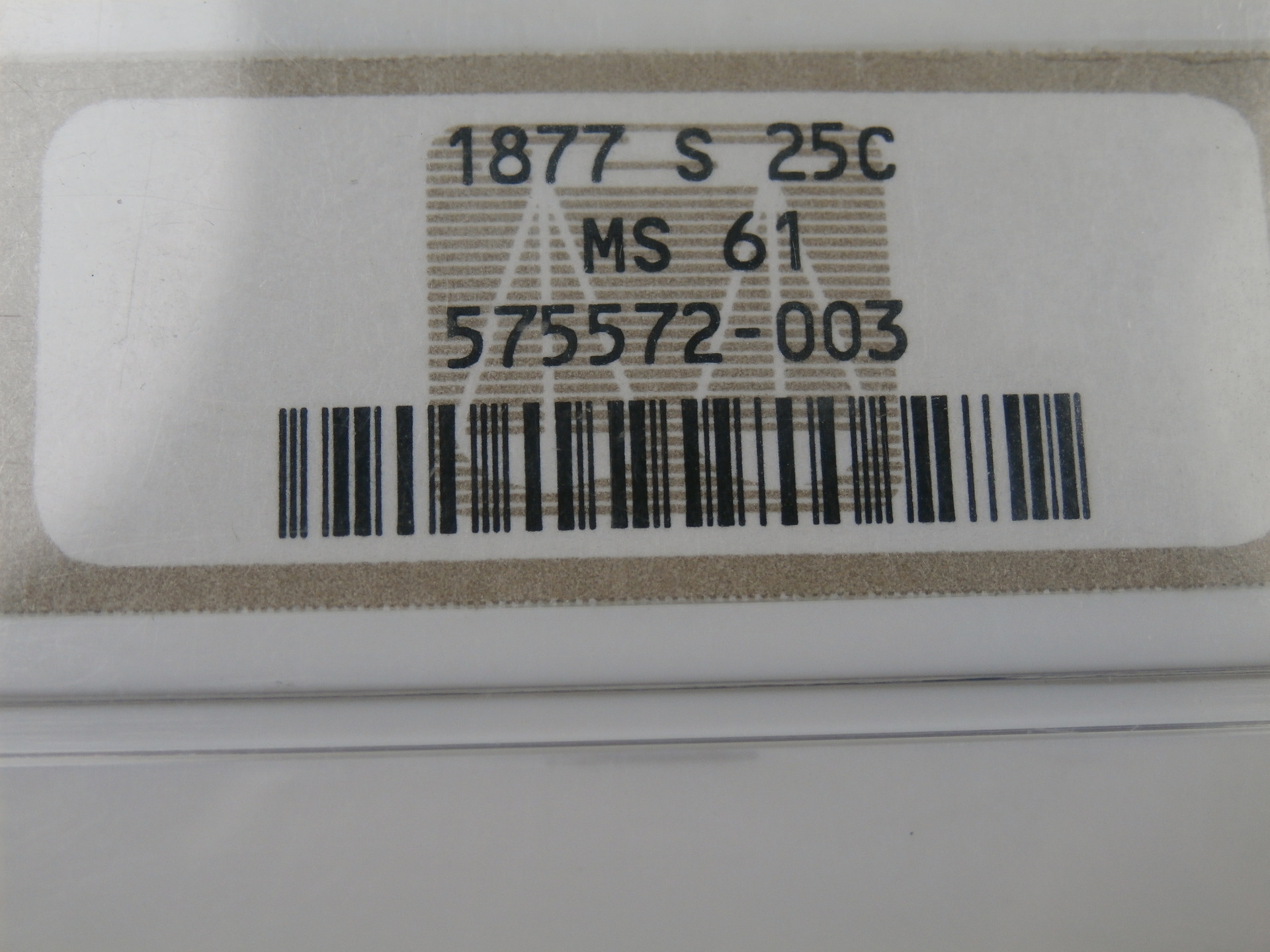 P1011569_1.JPG