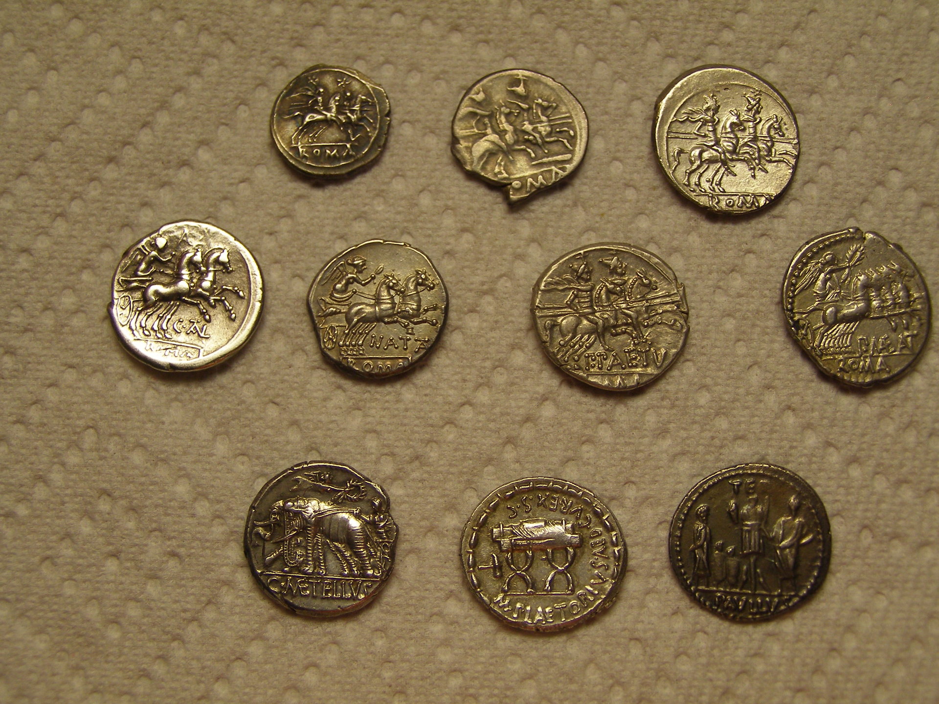 P1011574.JPG
