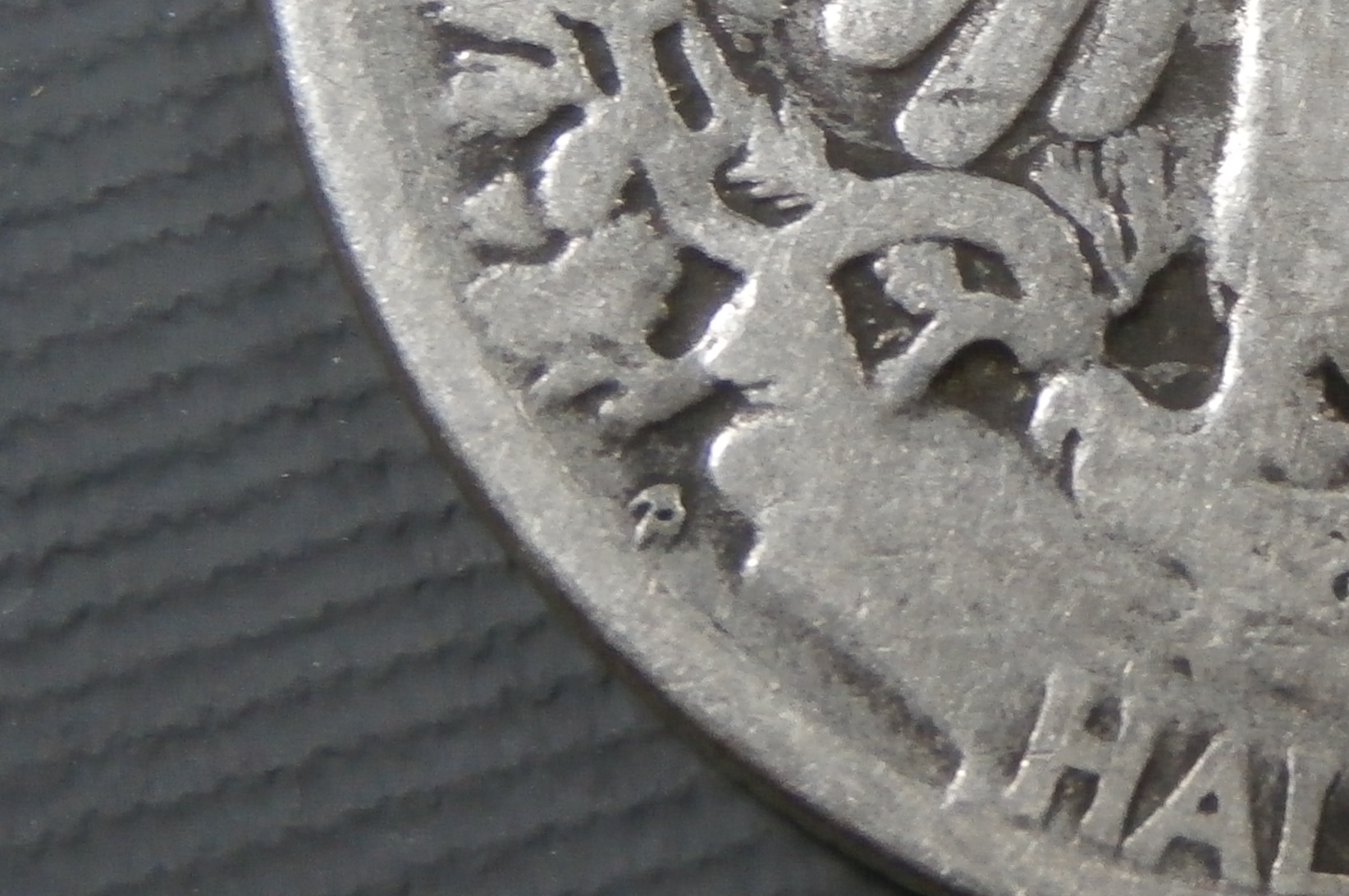 P1011749_6.JPG