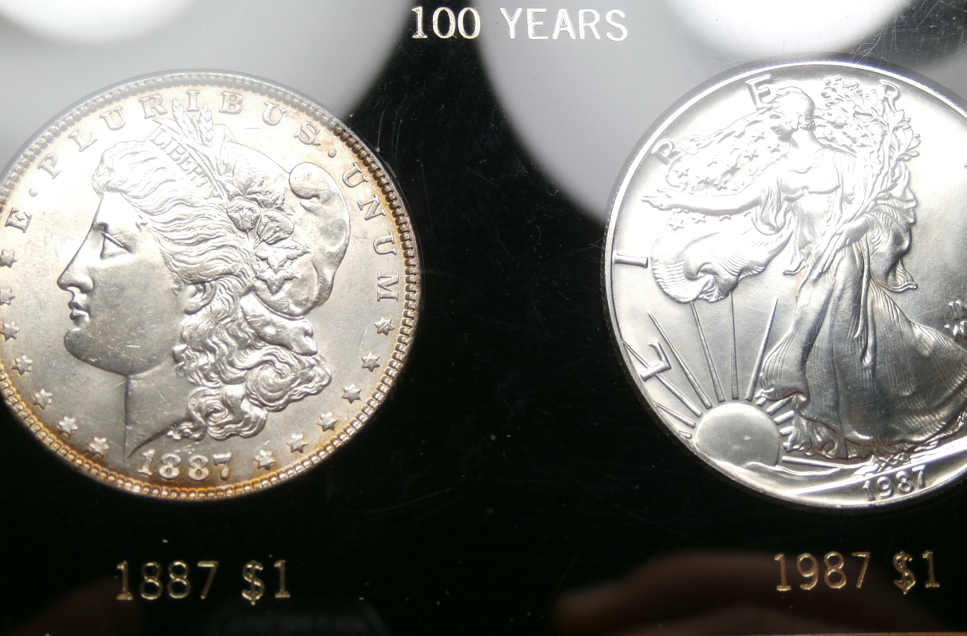 P1011796_3.JPG