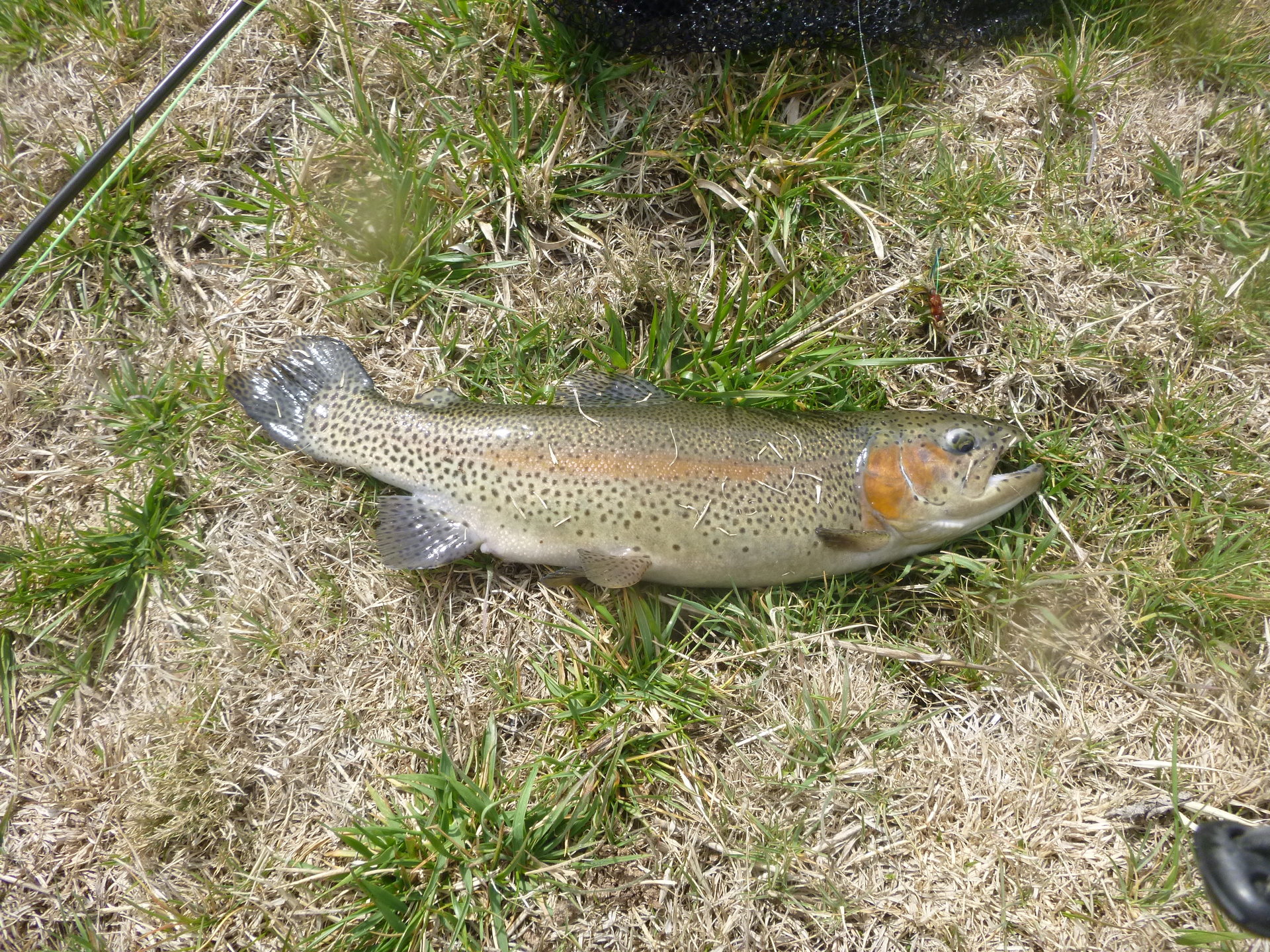 P1020140.JPG