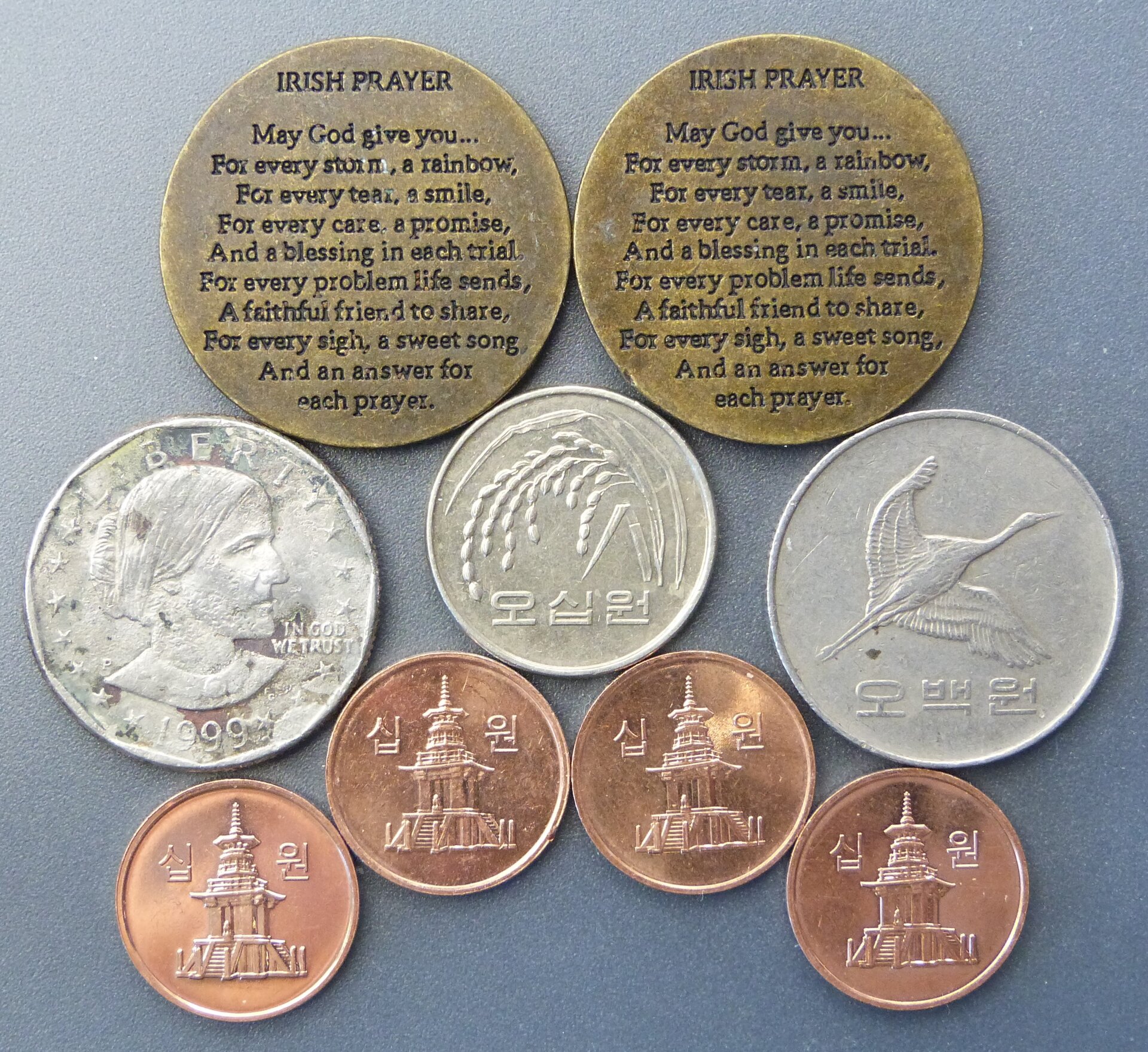 P1020571 (2).JPG