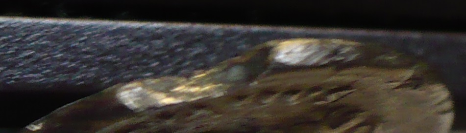 P1040274.JPG