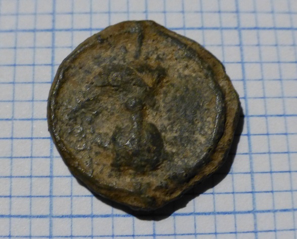 P1050487.JPG