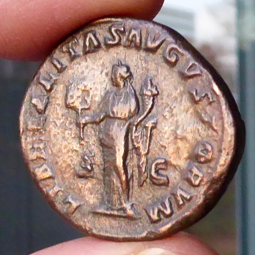 P1080379.jpg