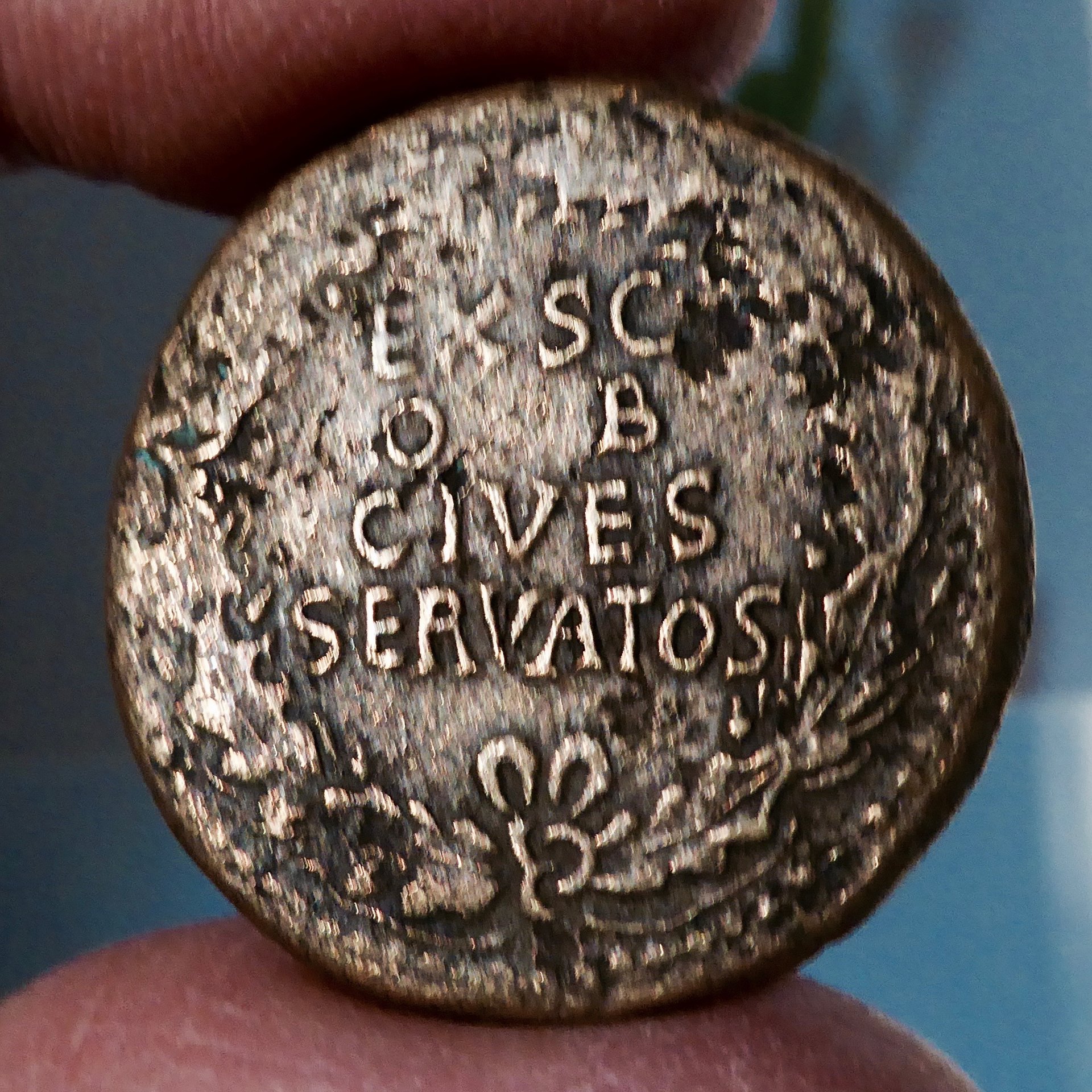 P1090165.jpg