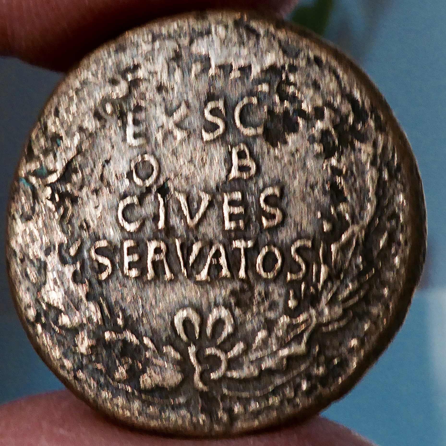 P1090165.jpg