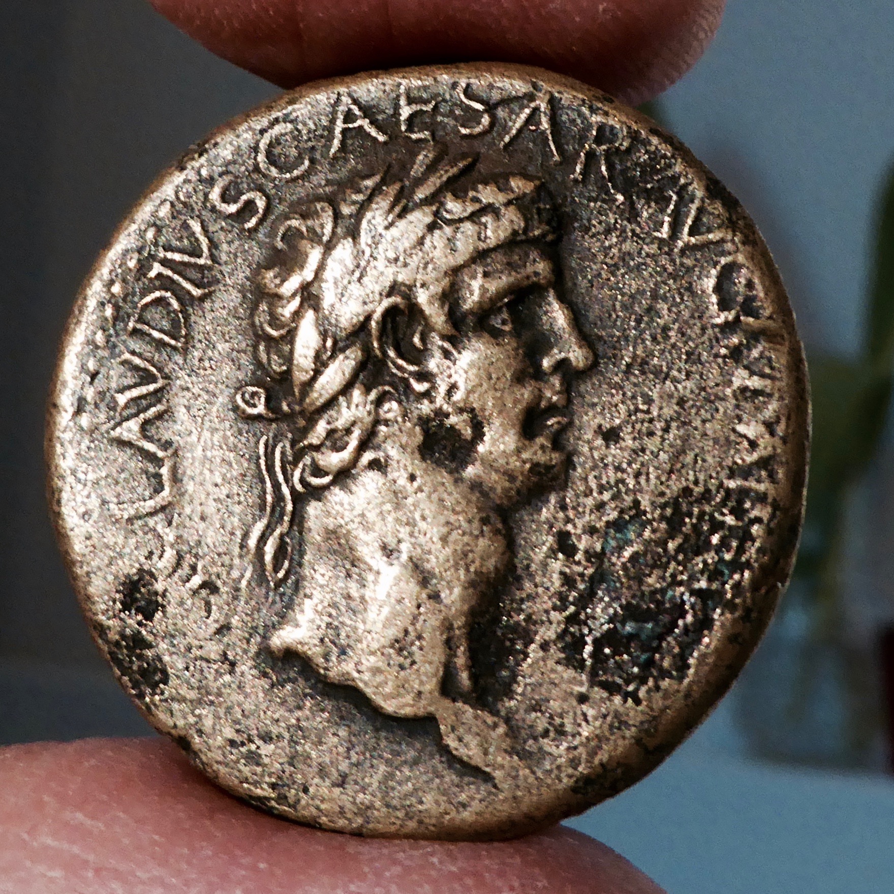 P1090166.jpg