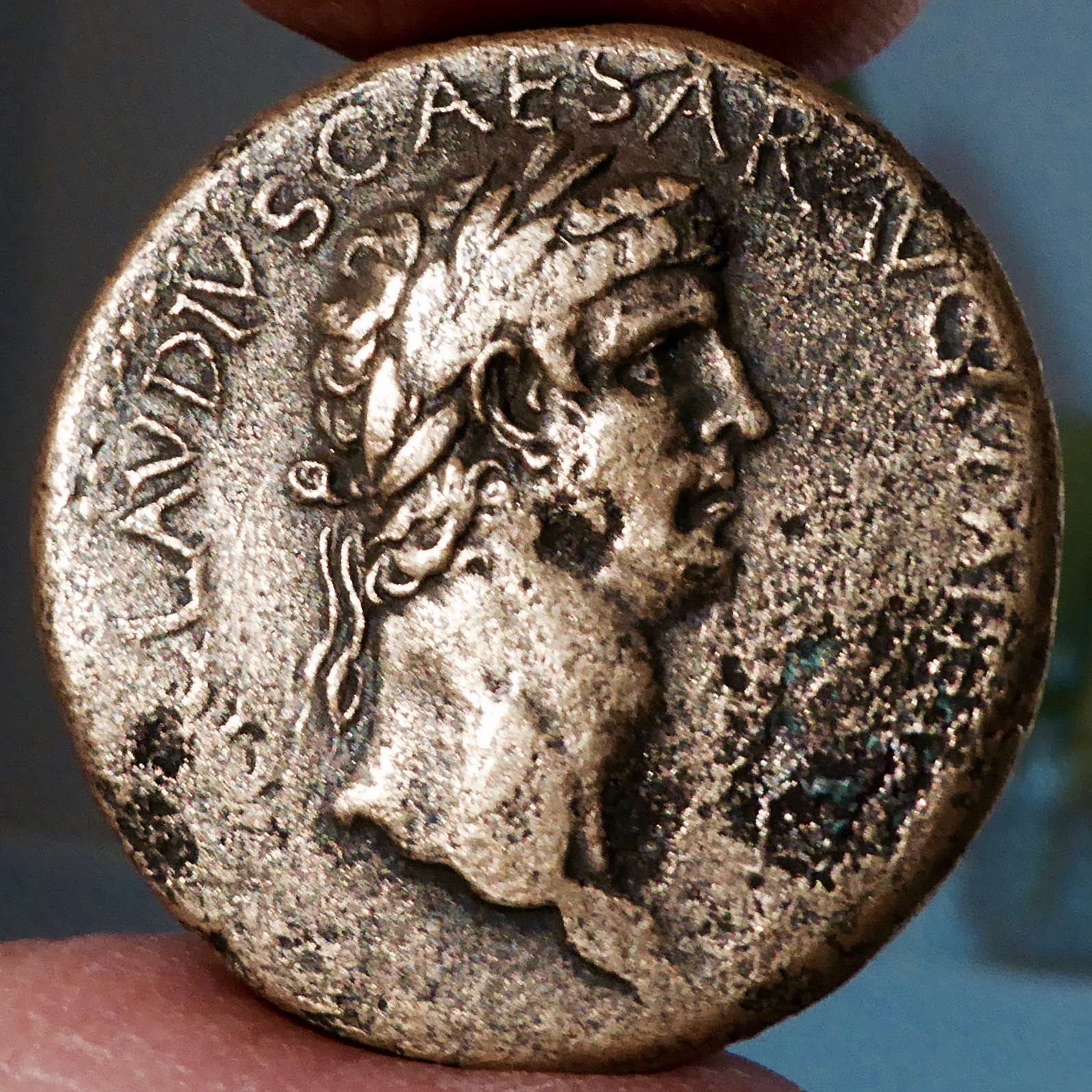 P1090166.jpg