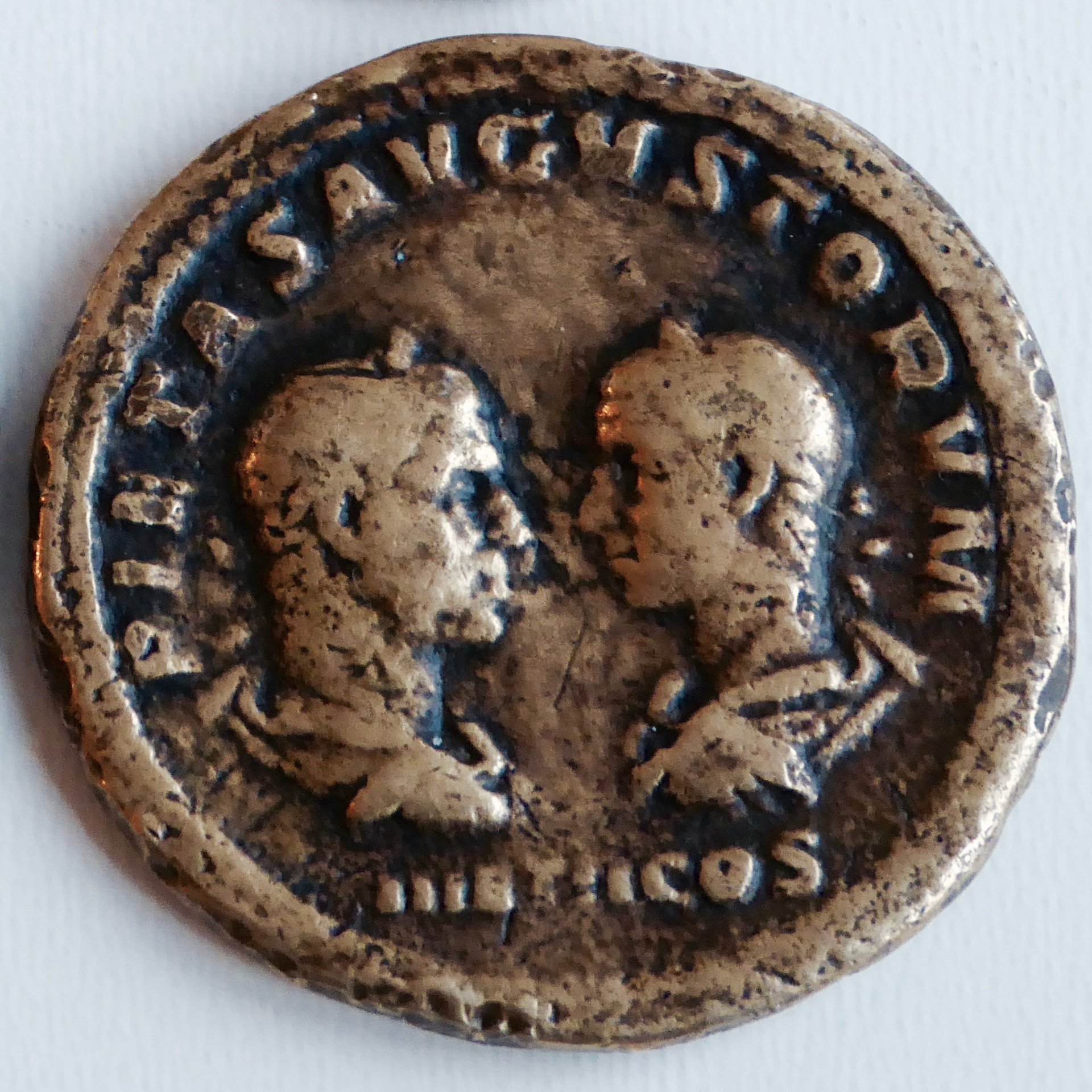 P1090675.jpg