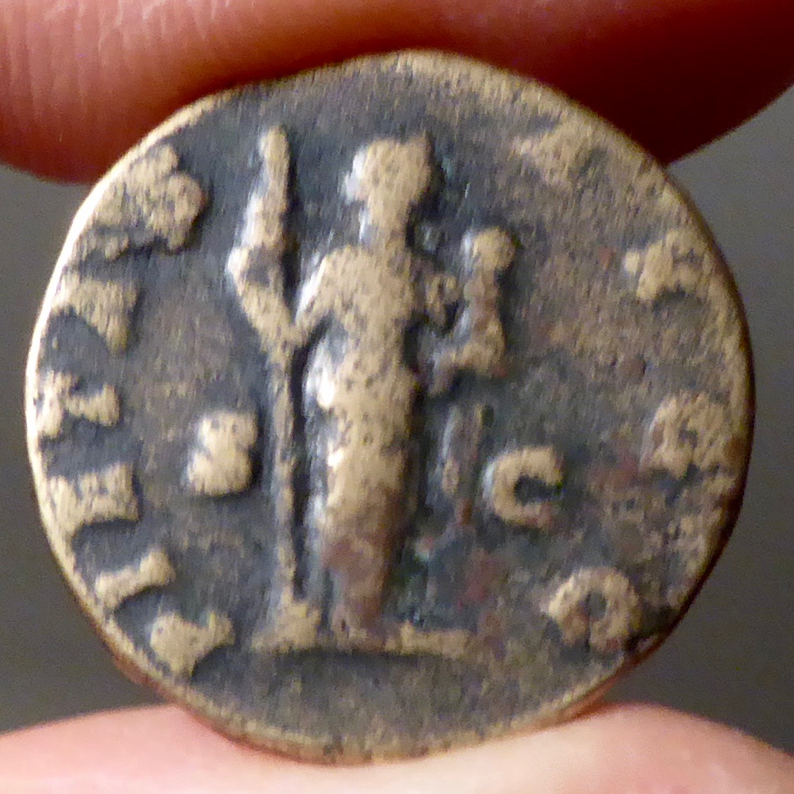 P1090842-1.jpg