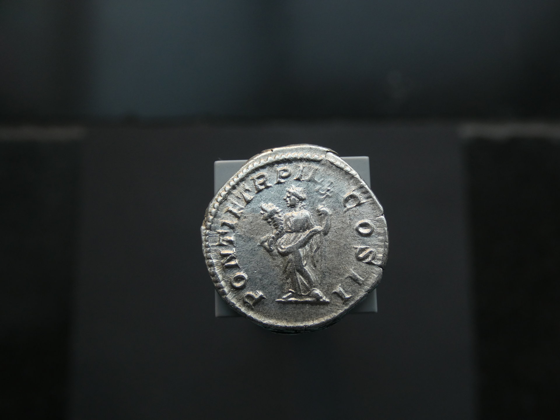 P1090935.JPG