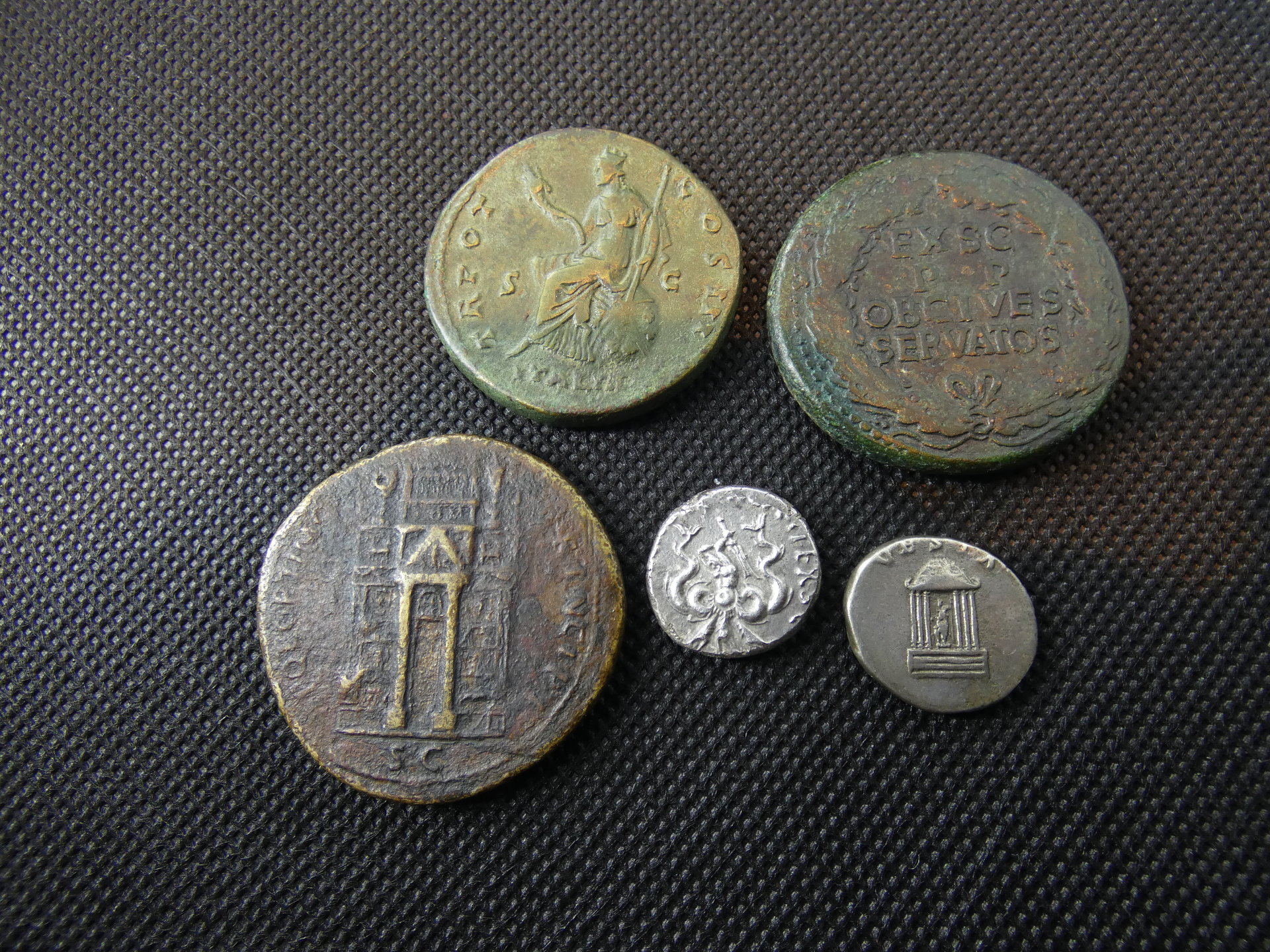P1120123.JPG