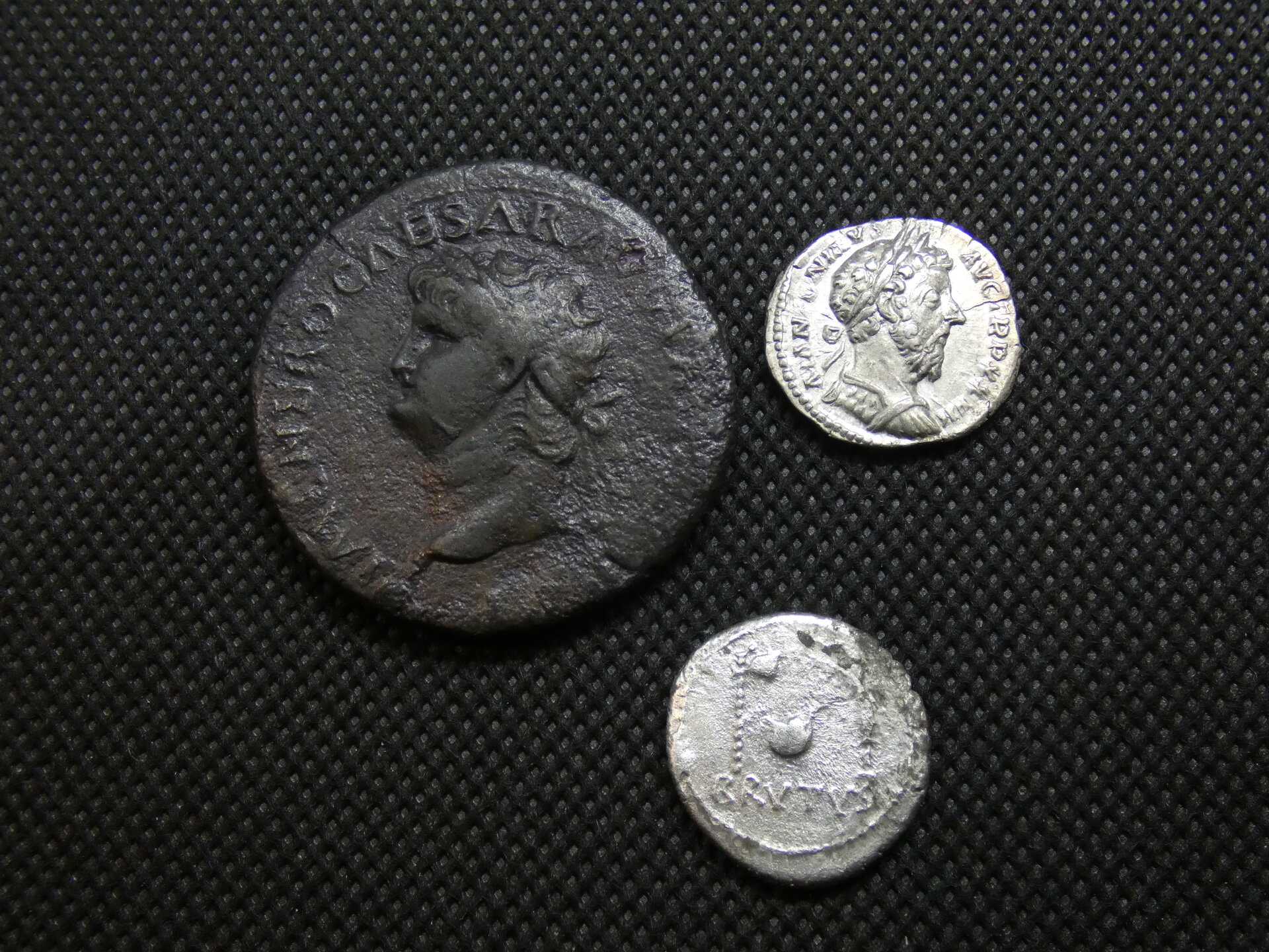 P1120341.JPG