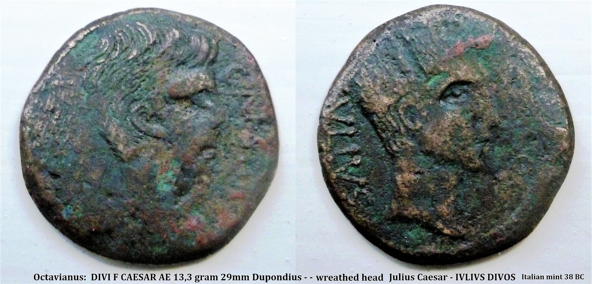 P1140140 julius caesar italian mint (2).jpg