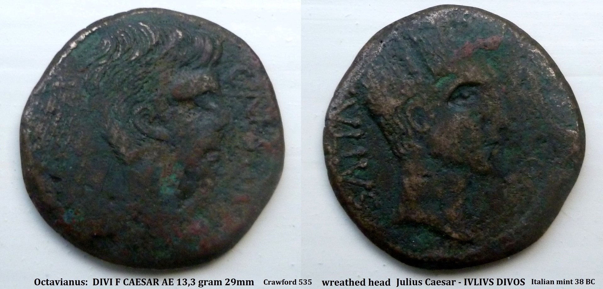 P1140140 julius caesar italian mint.jpg