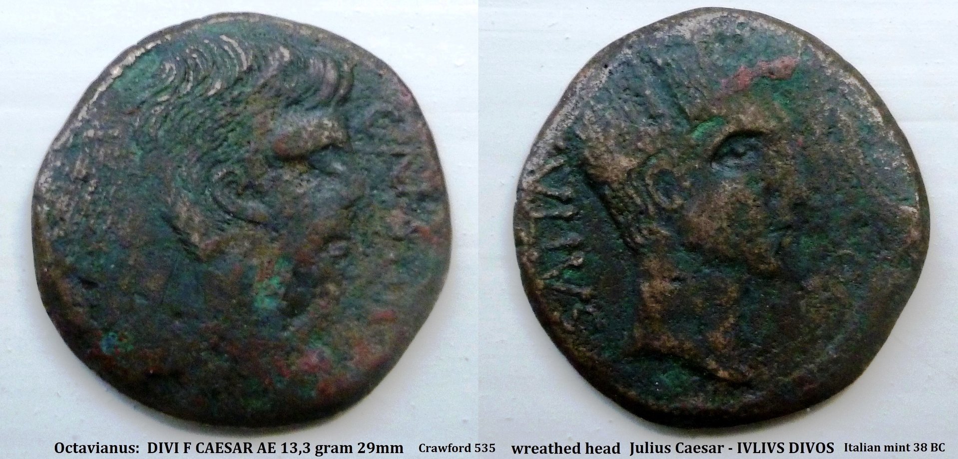 P1140140 julius caesar italian mint.jpg