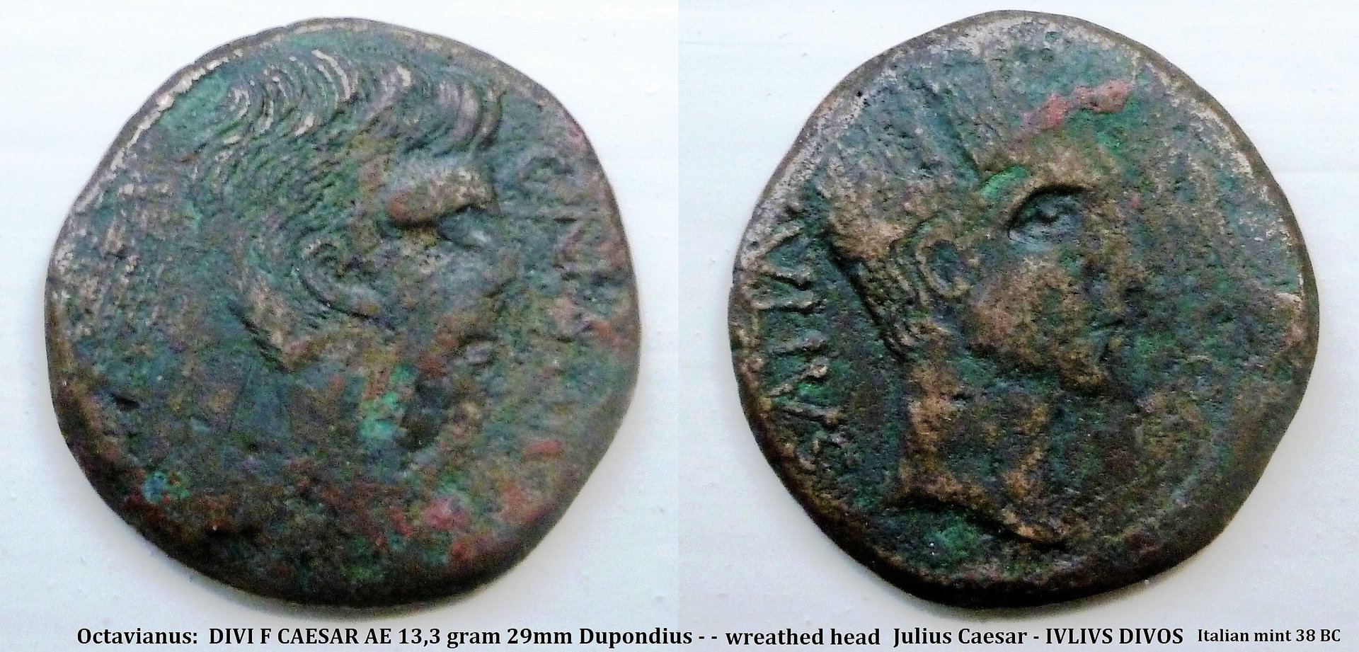 P1140140 julius caesar italian mint.jpg