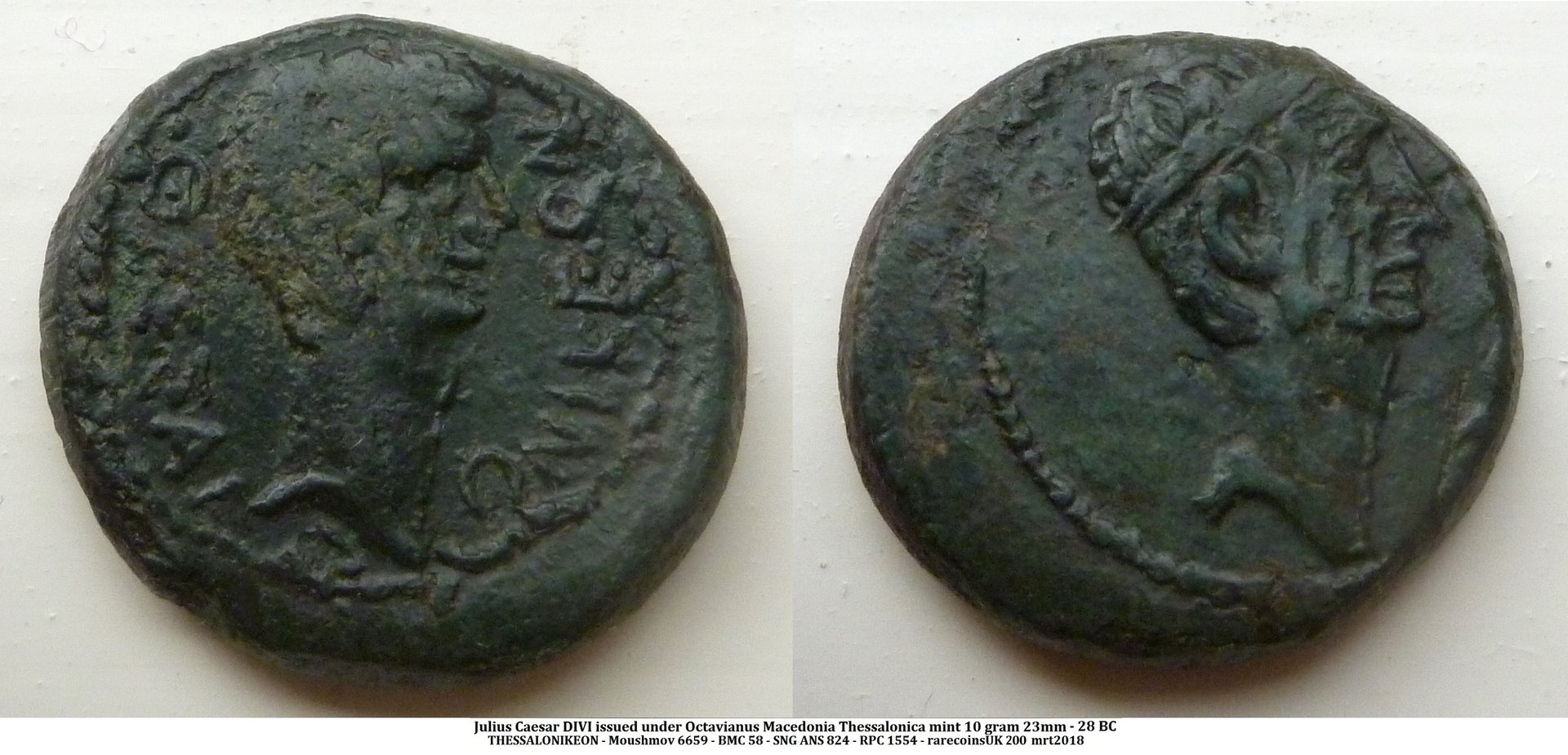 P1140140 julius caesarb.jpg