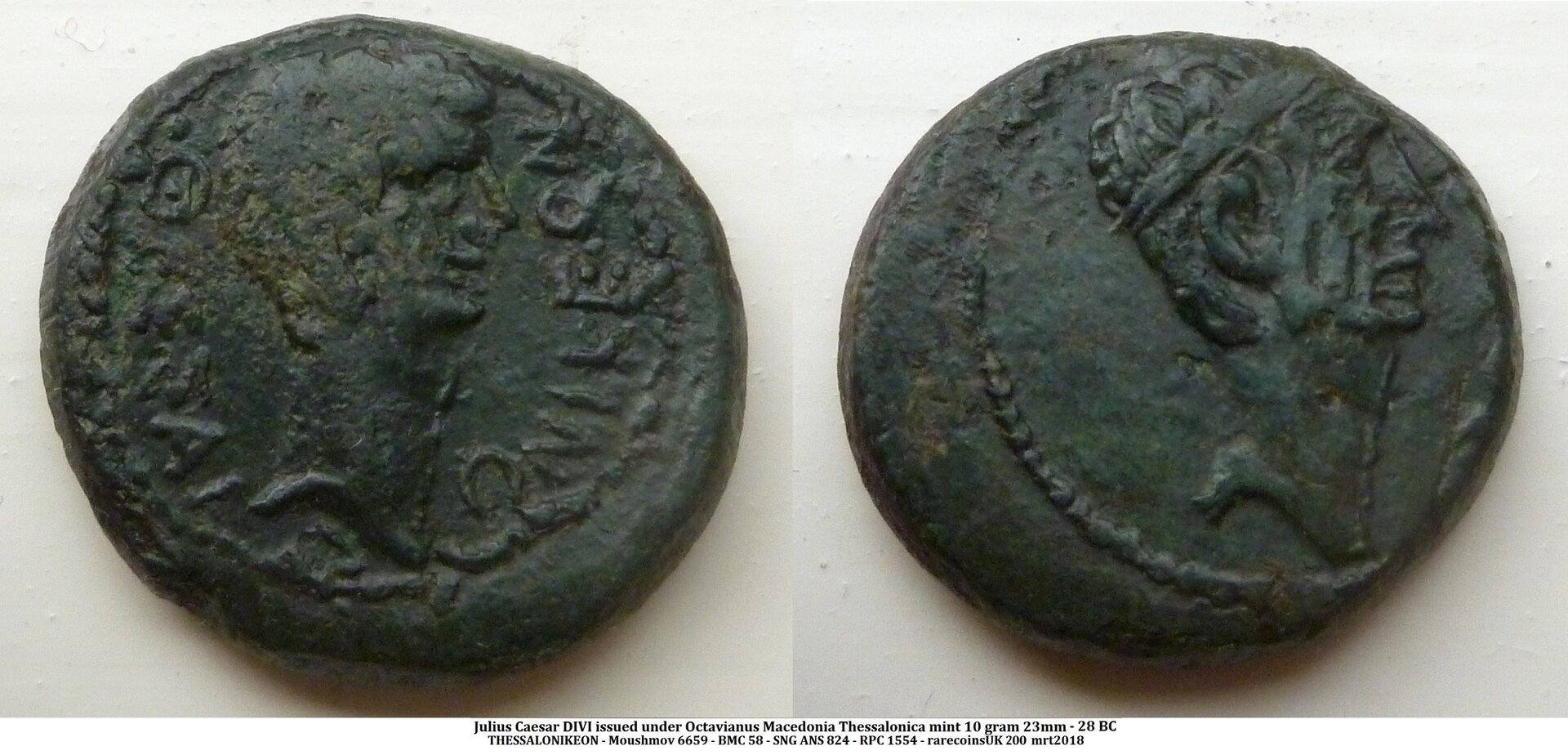 P1140140 julius caesarb.jpg