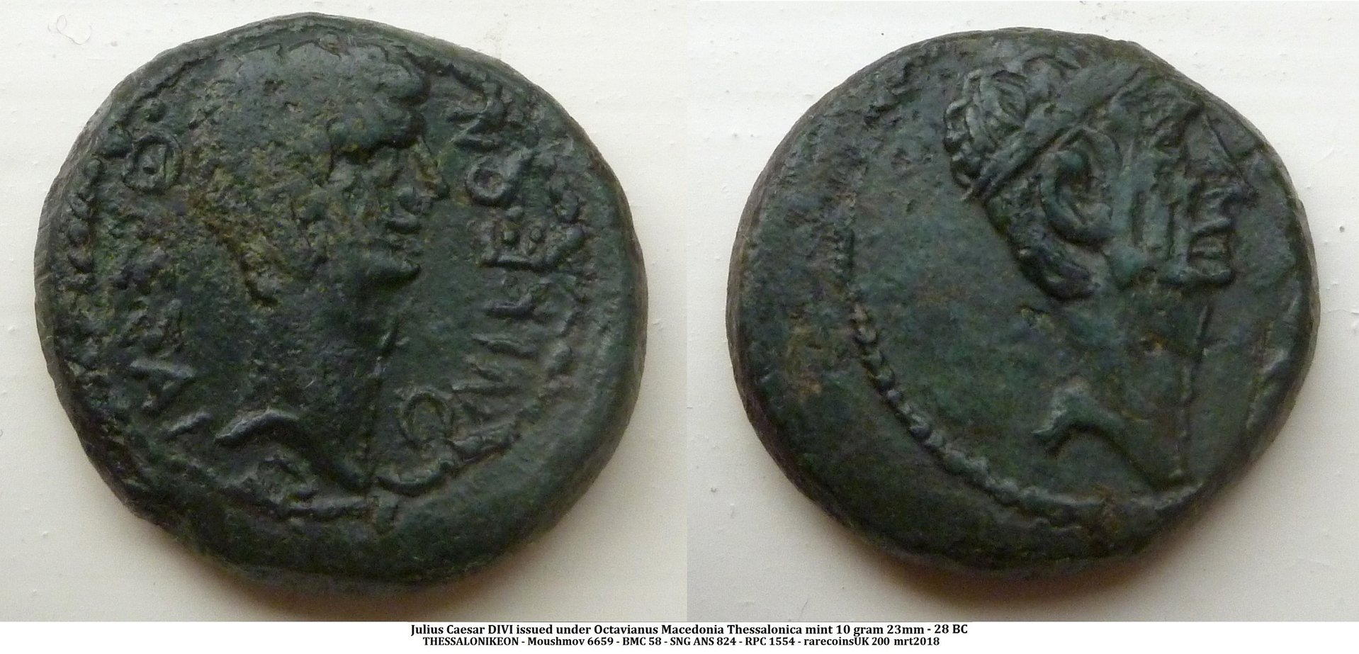 P1140140 julius caesarb.jpg
