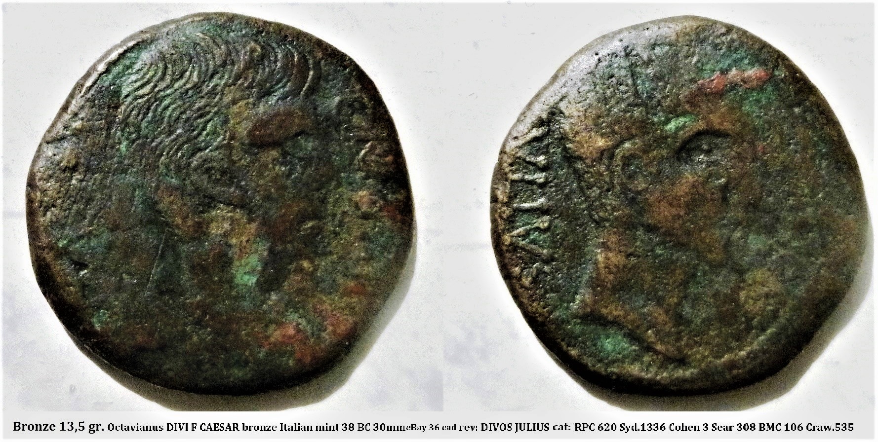 P1140140 julius caesarbest.jpg