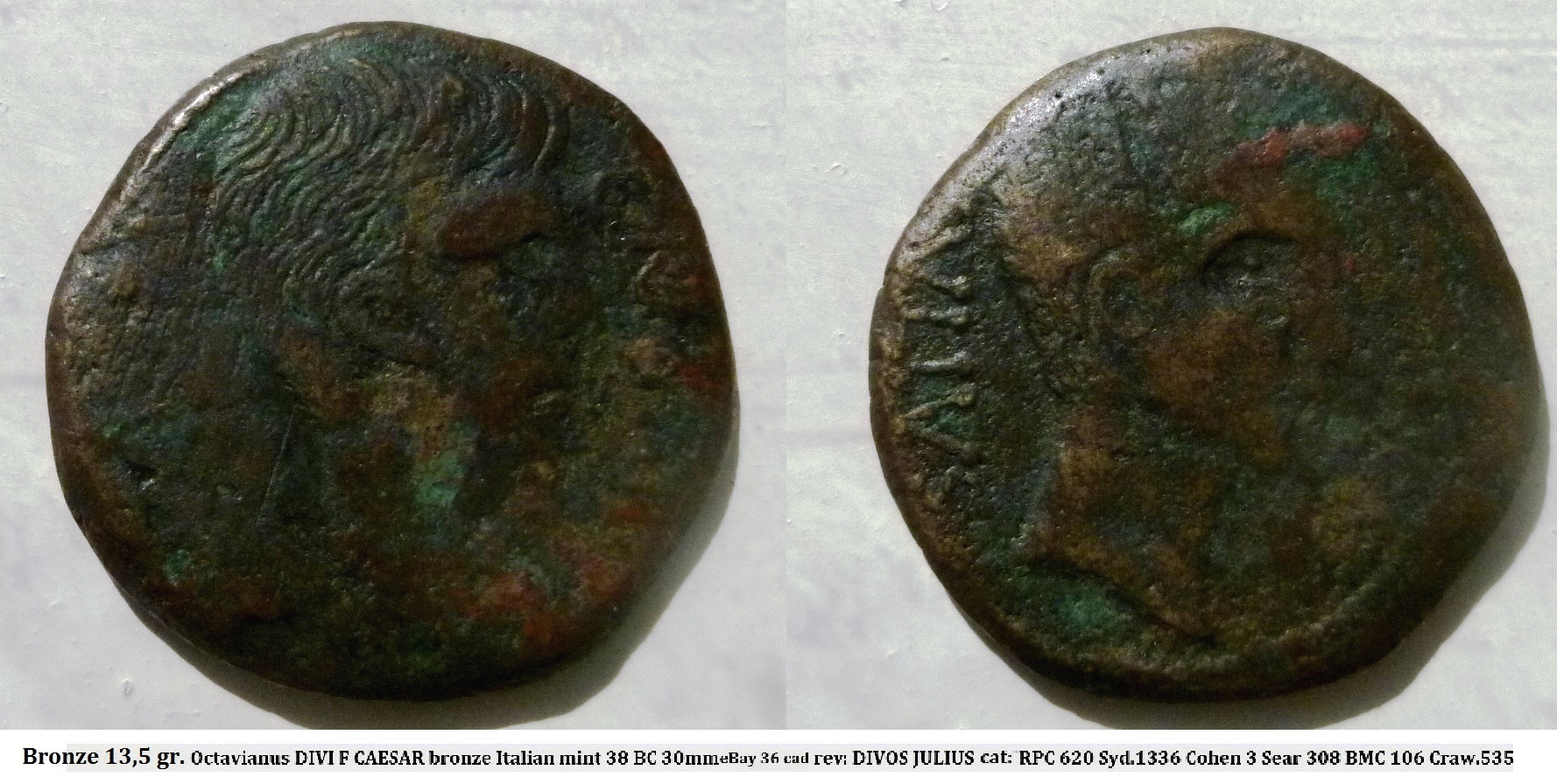 P1140140 julius caesarbest.jpg