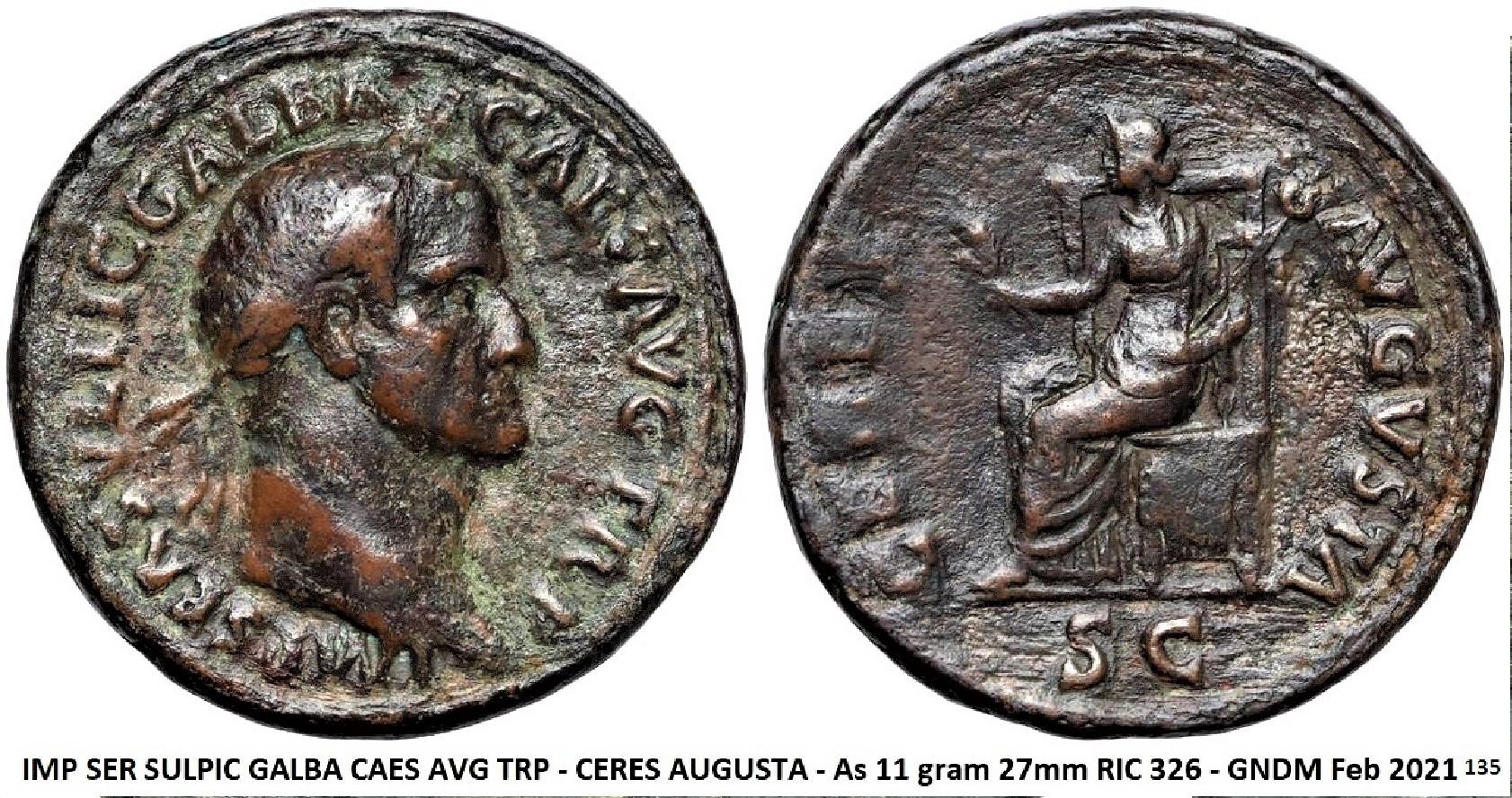 P1140140Galba As GNDM (4).JPG