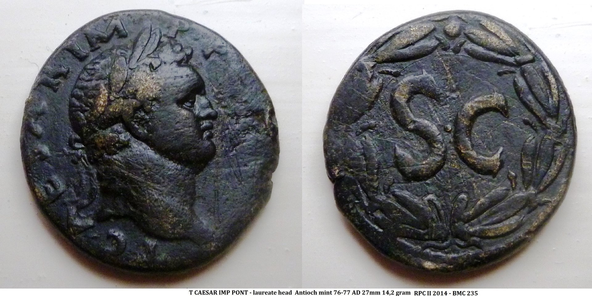 P1140142 zonder prijs.jpg