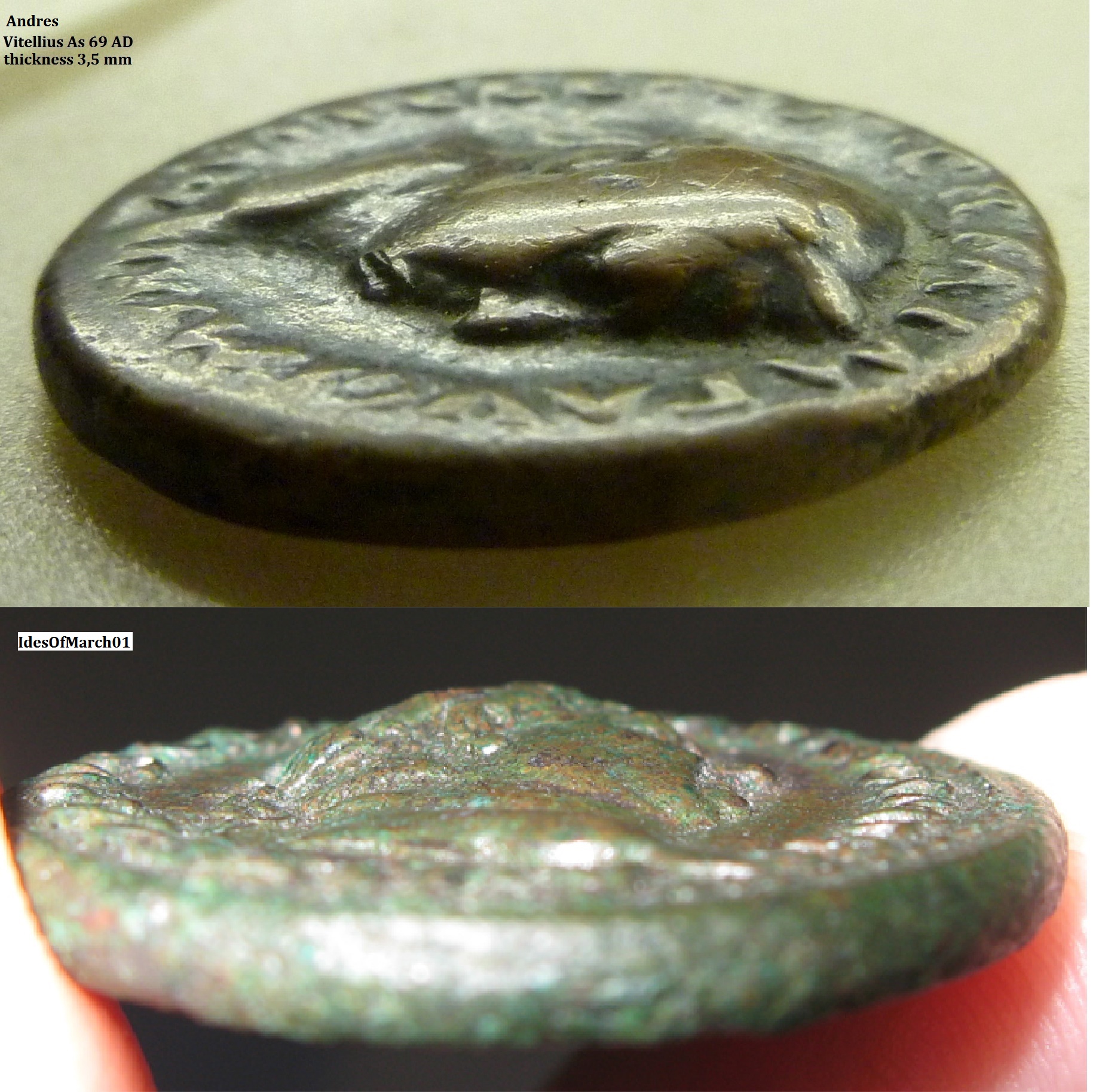 P1140143Vitellius3,5mm thick 2x.jpg