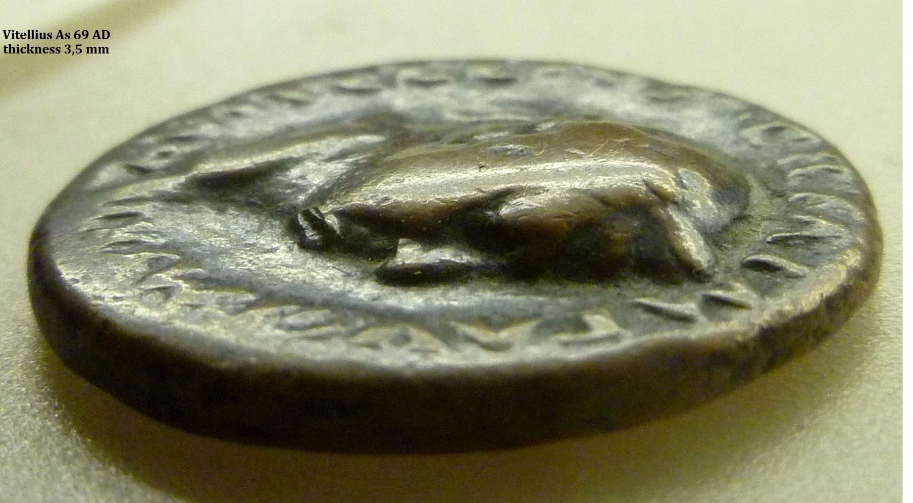 P1140143Vitellius3,5mm thick.jpg