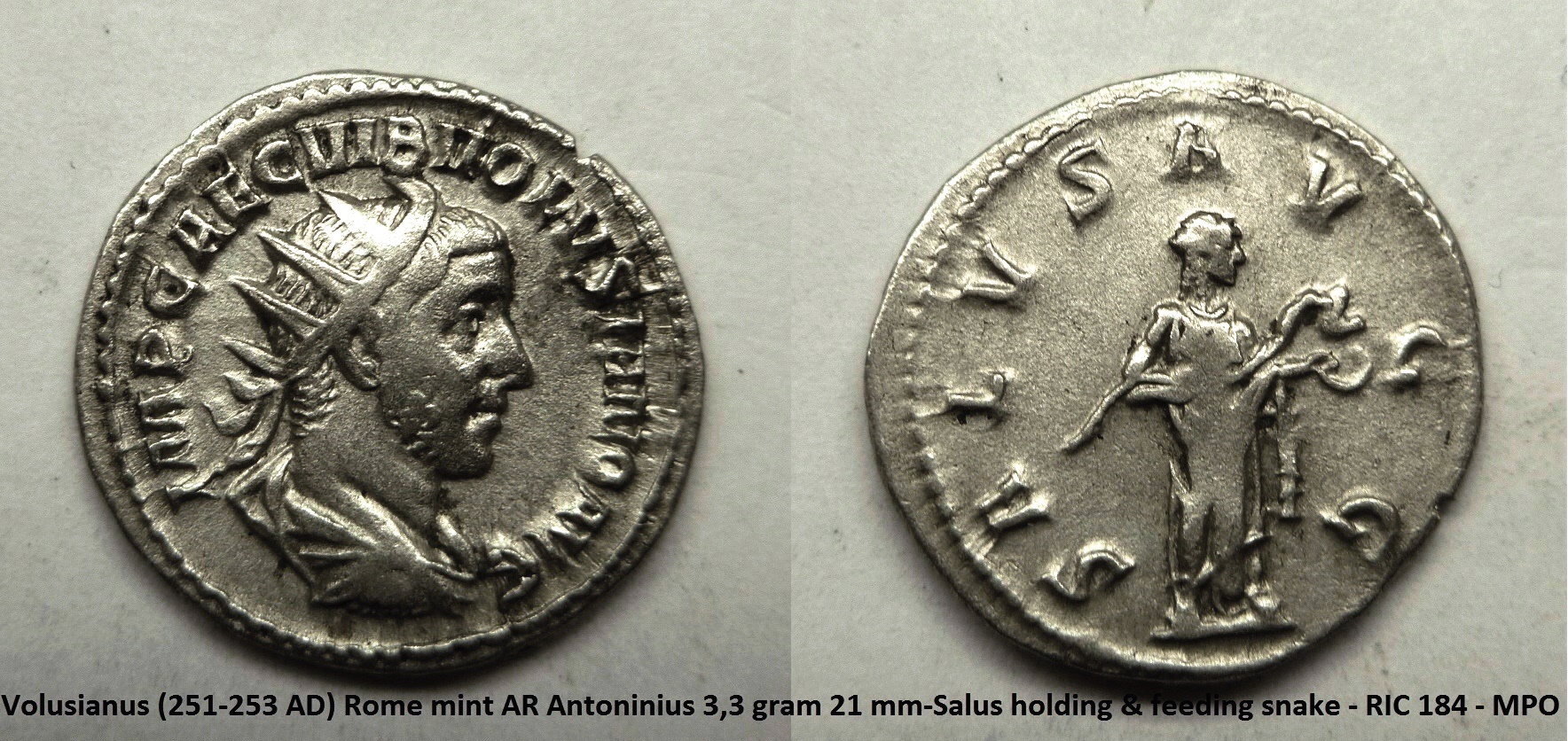 P1140418b.jpg